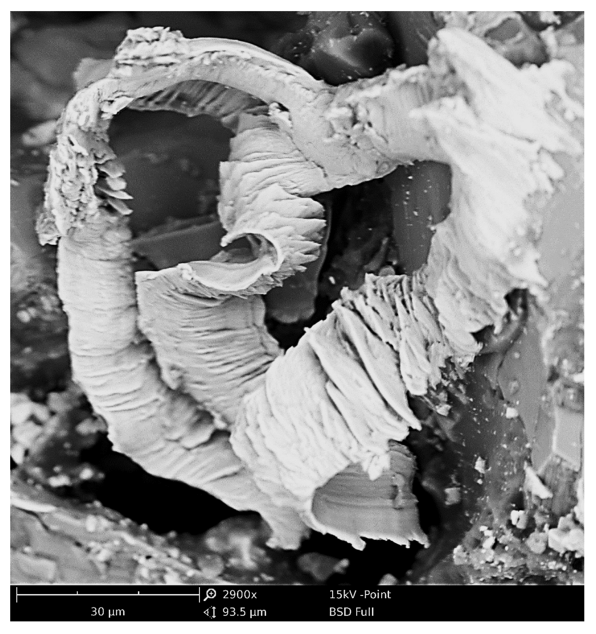 Materials 16 01493 g004