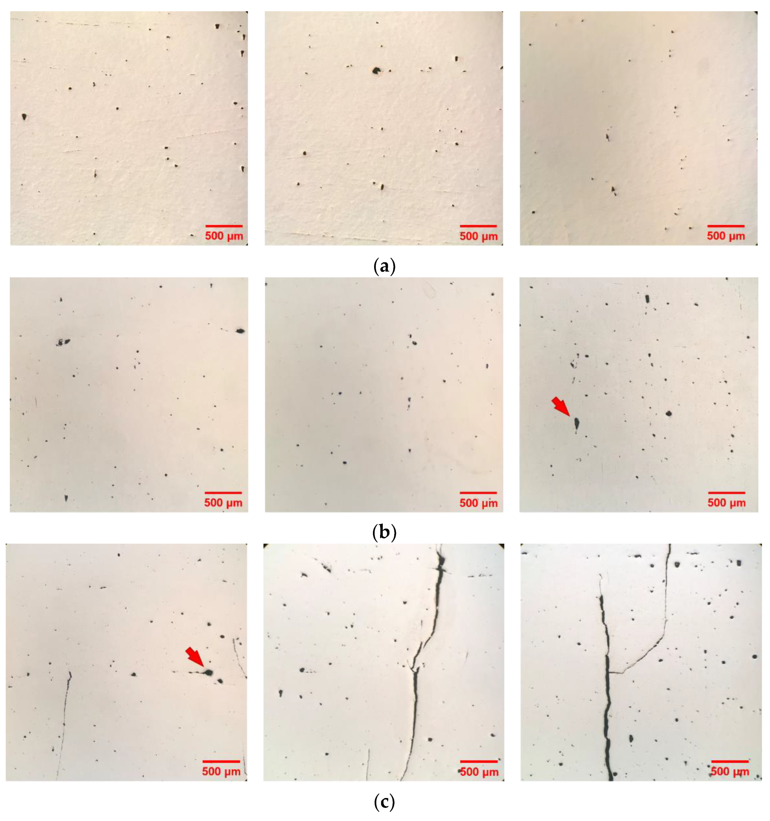 Materials 16 01502 g013