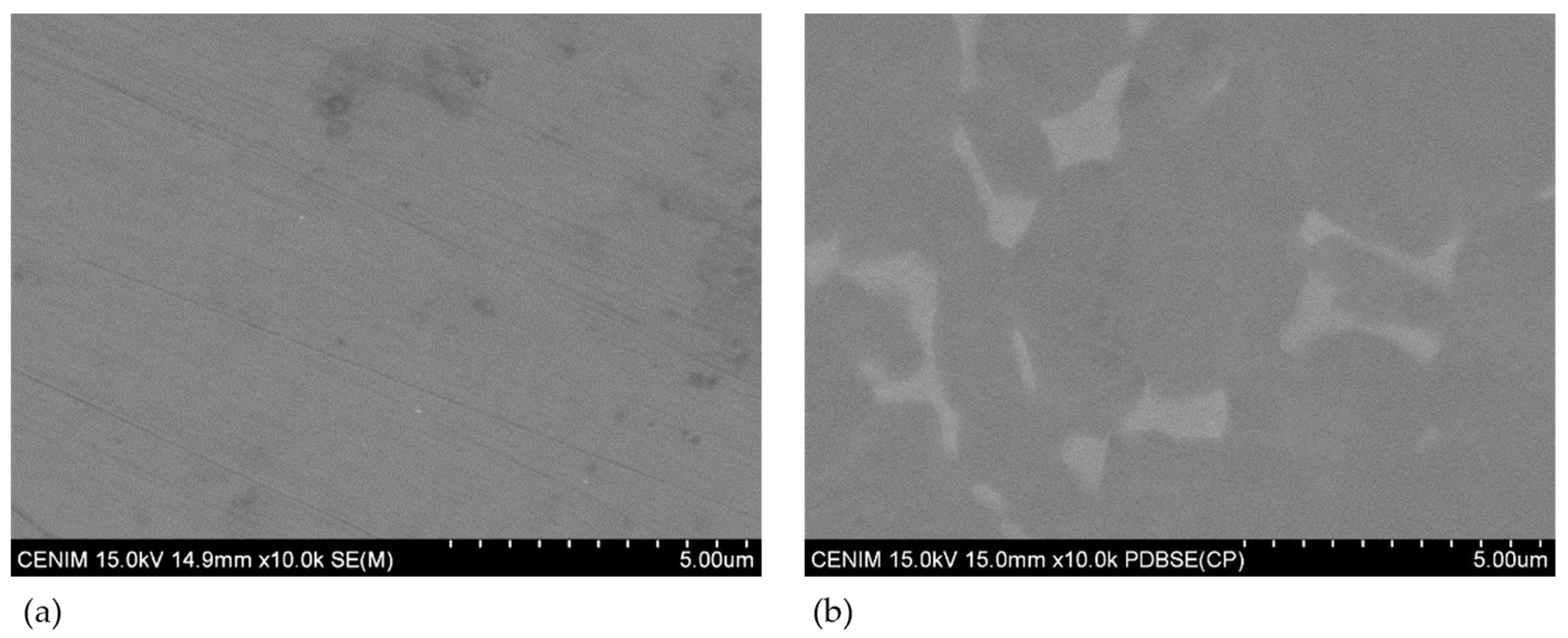 Materials 16 01505 g001 550