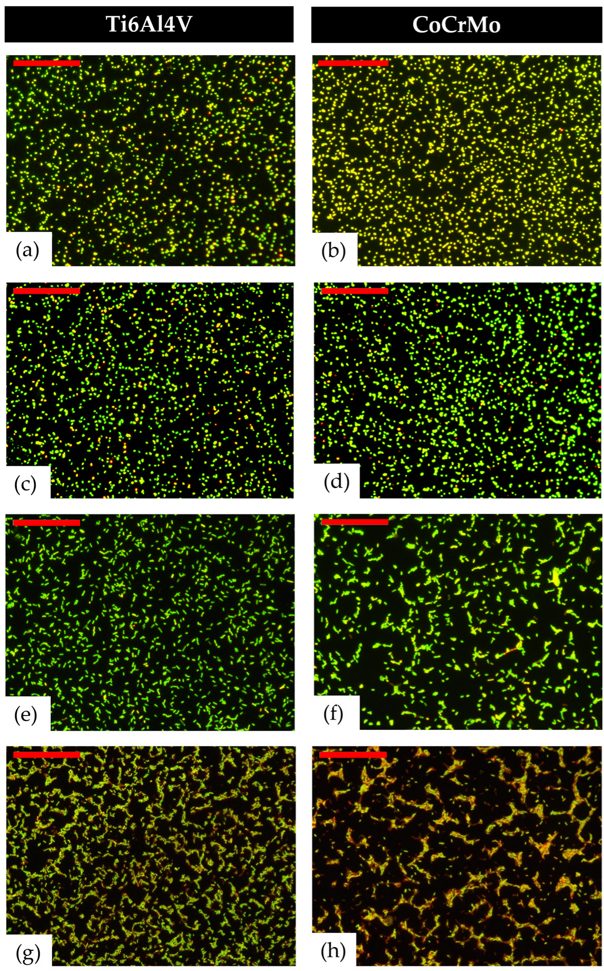 Materials 16 01505 g003 550