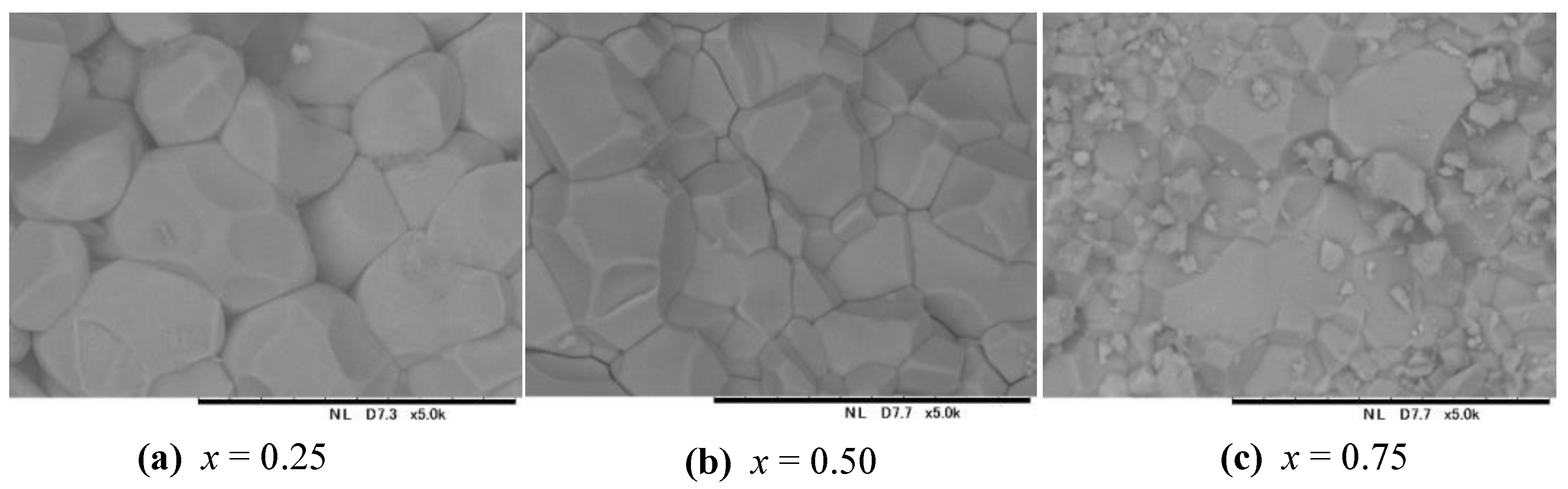 Materials 16 01506 g001 550