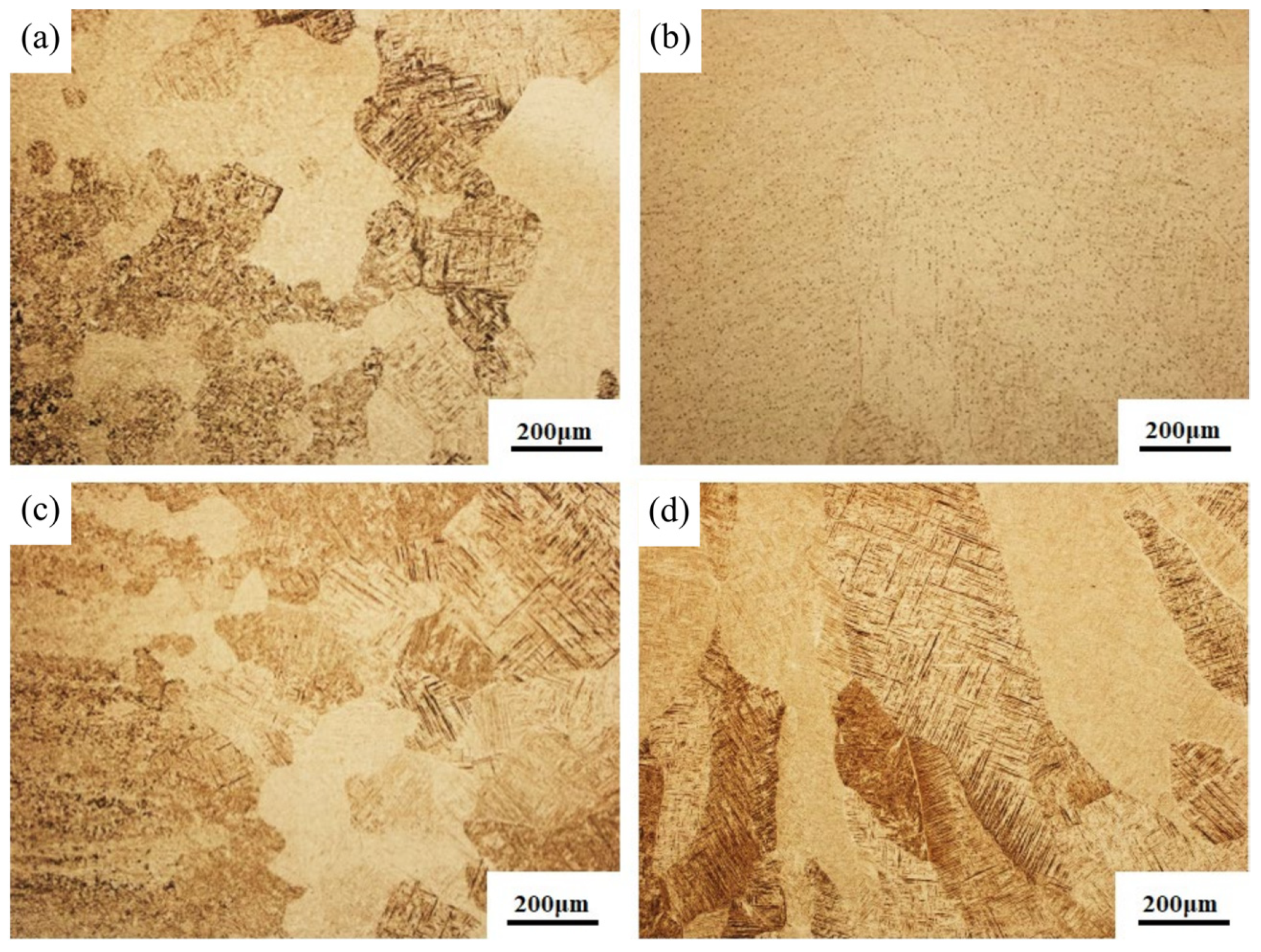 Materials 16 01509 g006