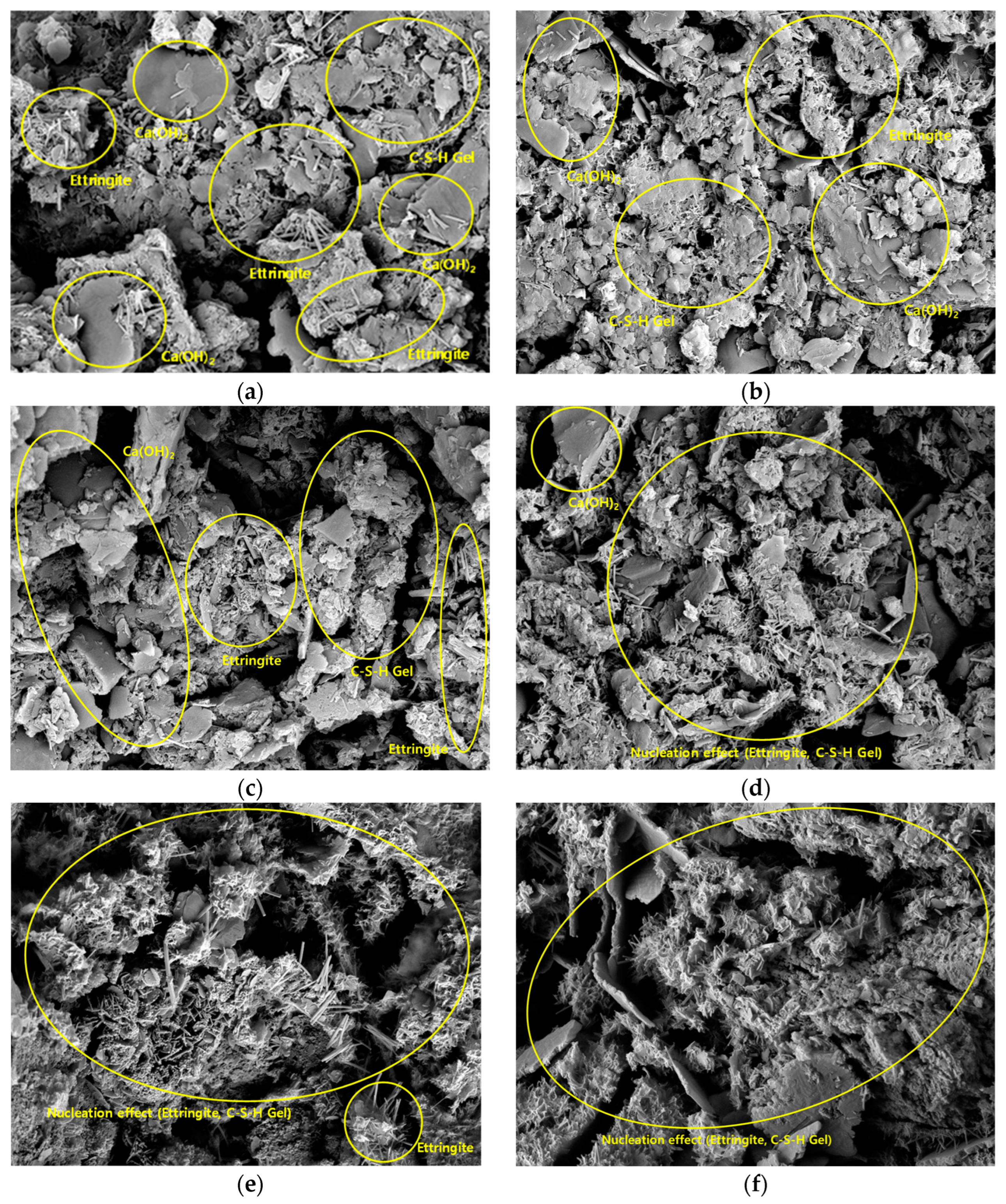 Materials 16 01511 g007 Materials 16 01511 g007