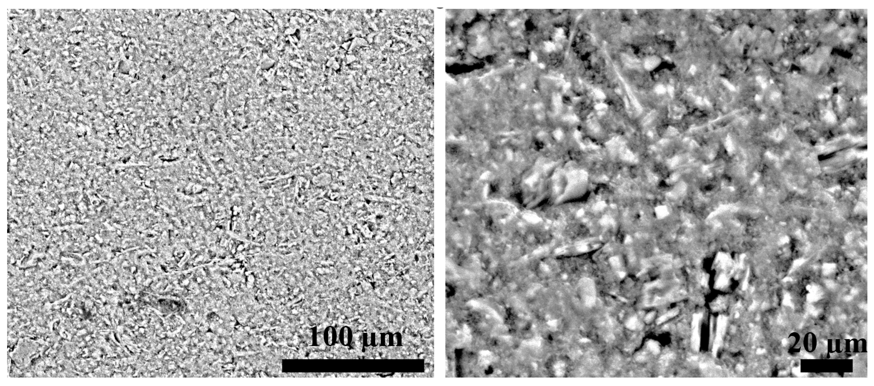 Materials 16 01519 g004 550