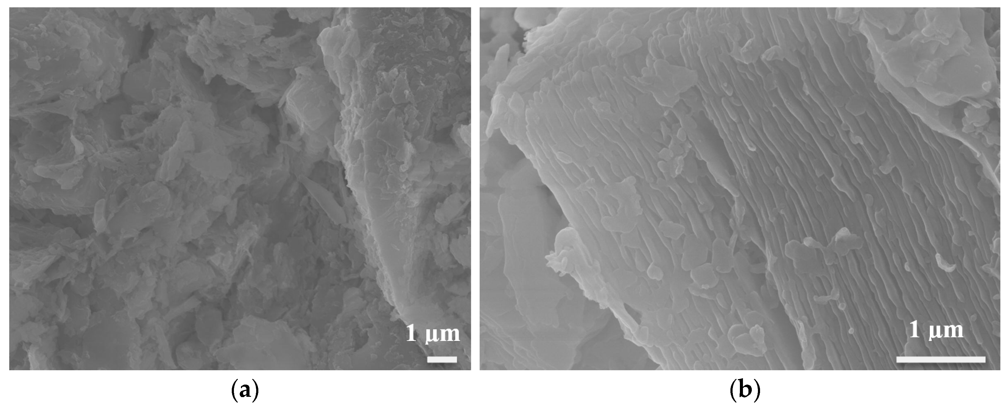 Materials 16 01519 g005 550