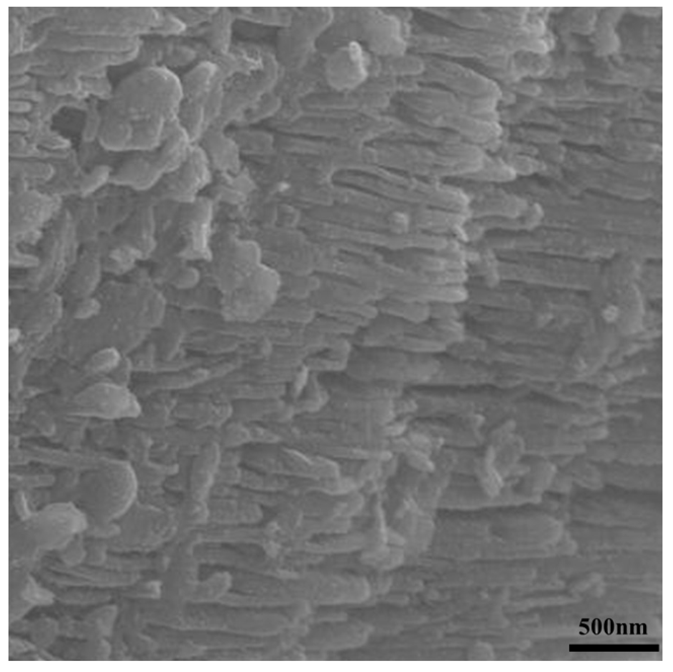 Materials 16 01519 g006 550