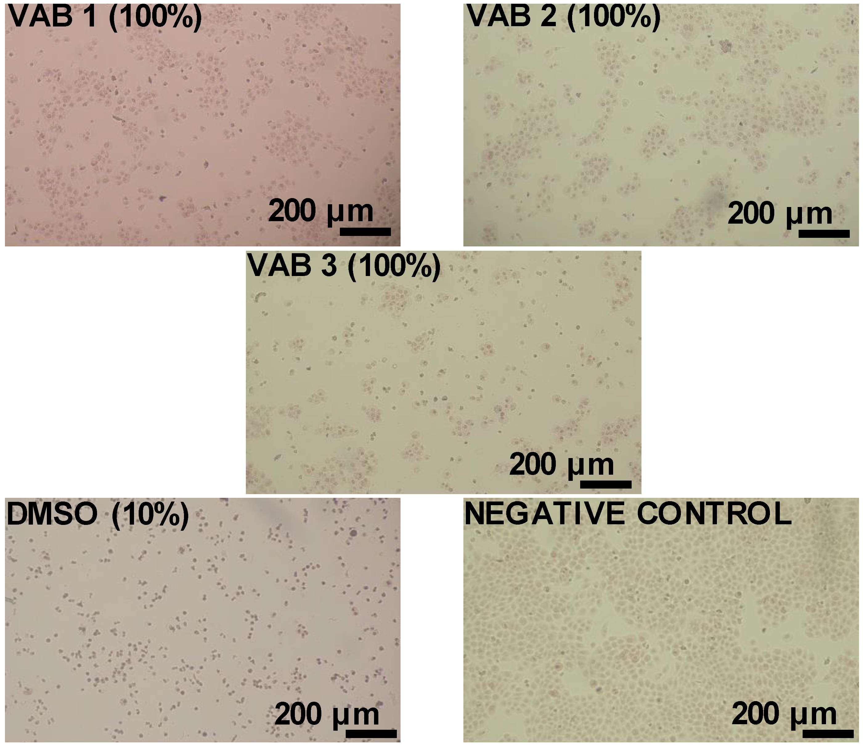 Materials 16 01527 g008 550