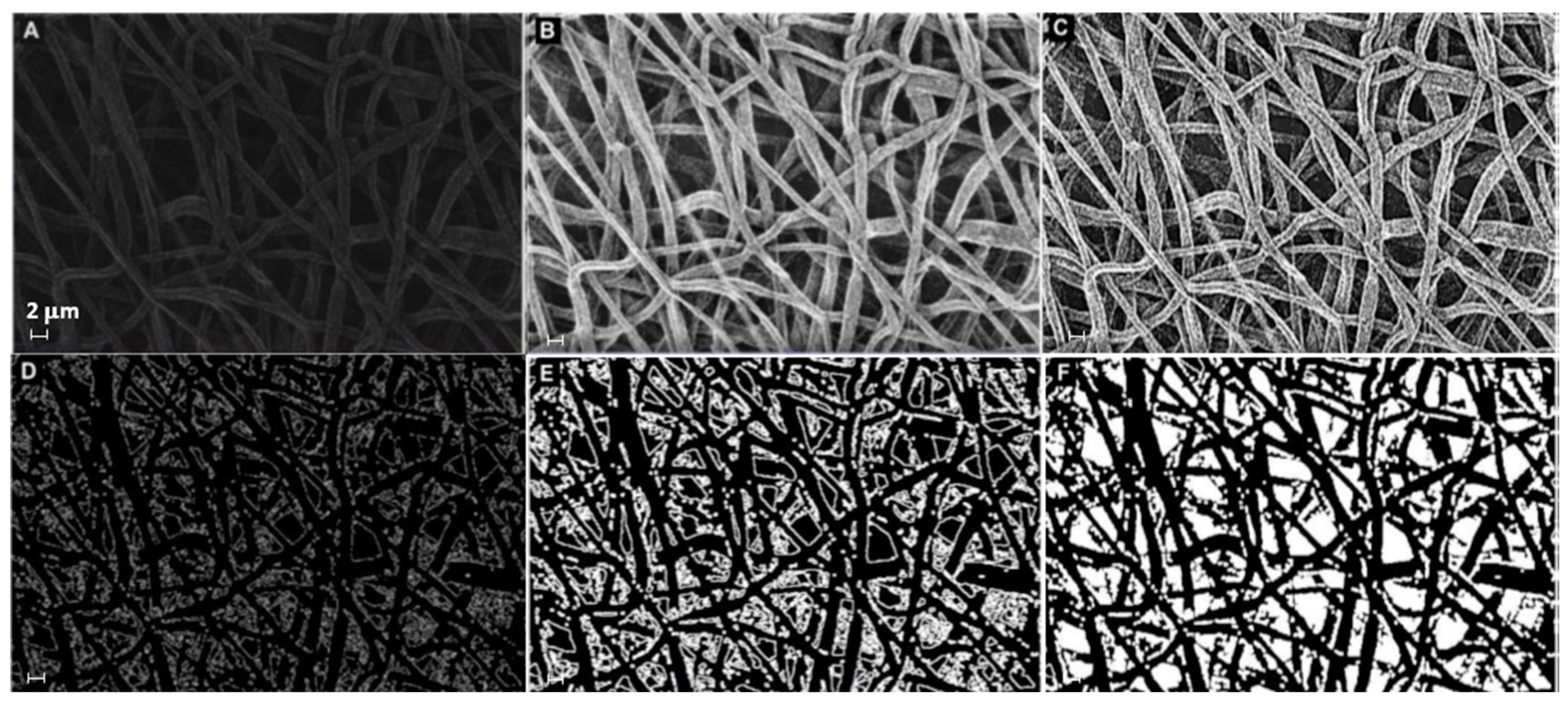 Materials 16 01539 g001 550