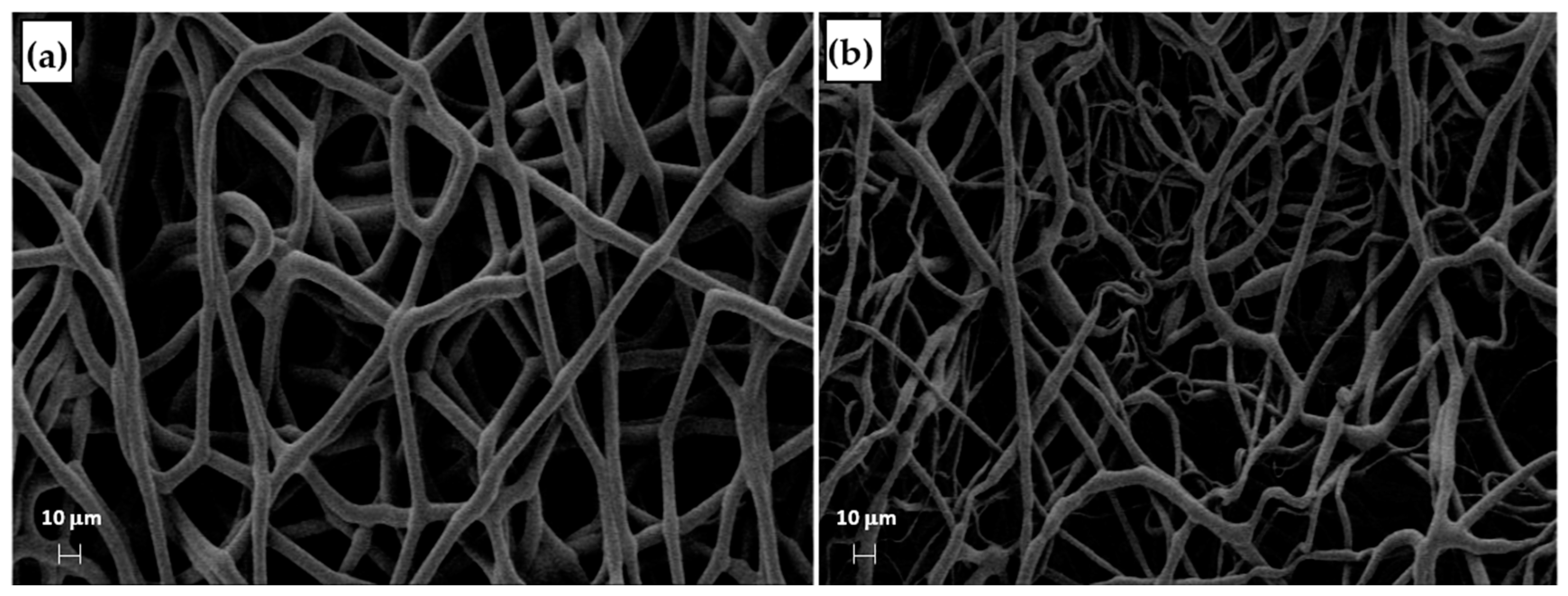 Materials 16 01539 g013 550