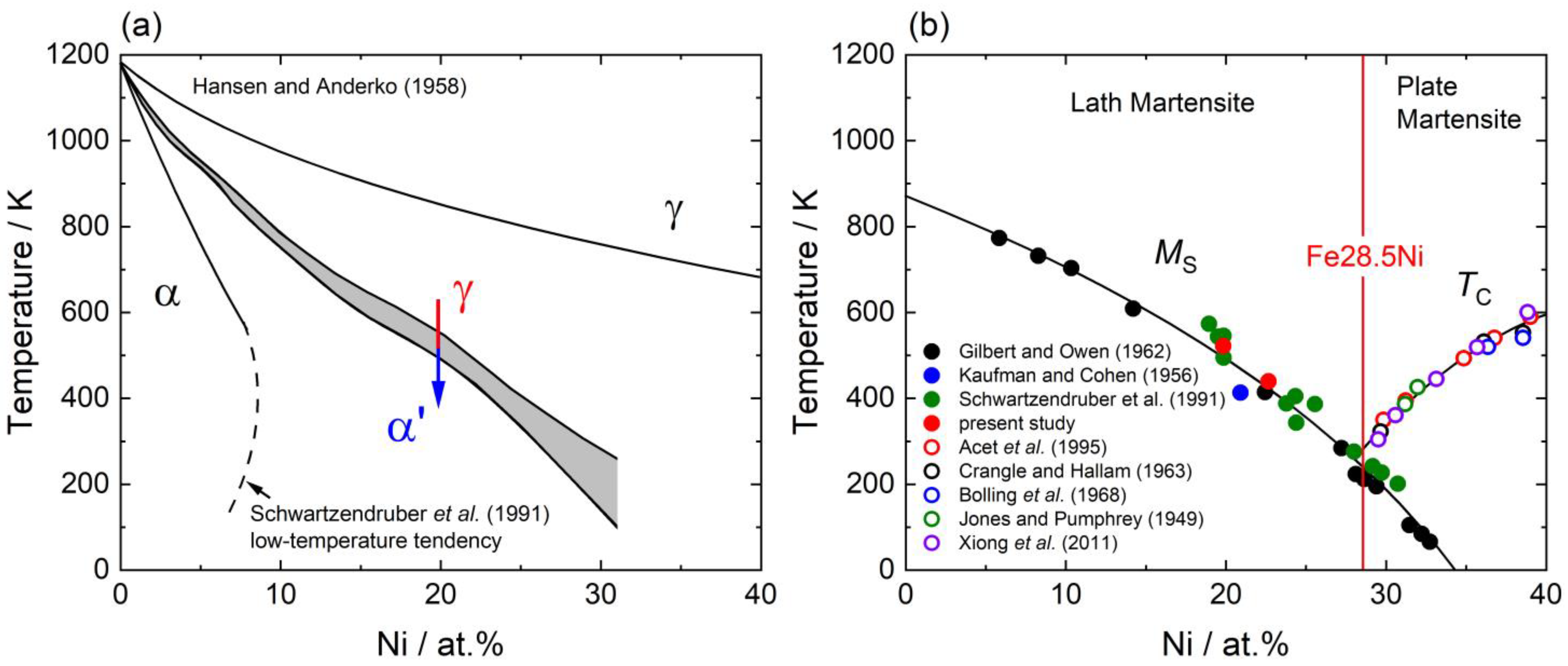 Materials 16 01549 g001 Materials 16 01549 g001
