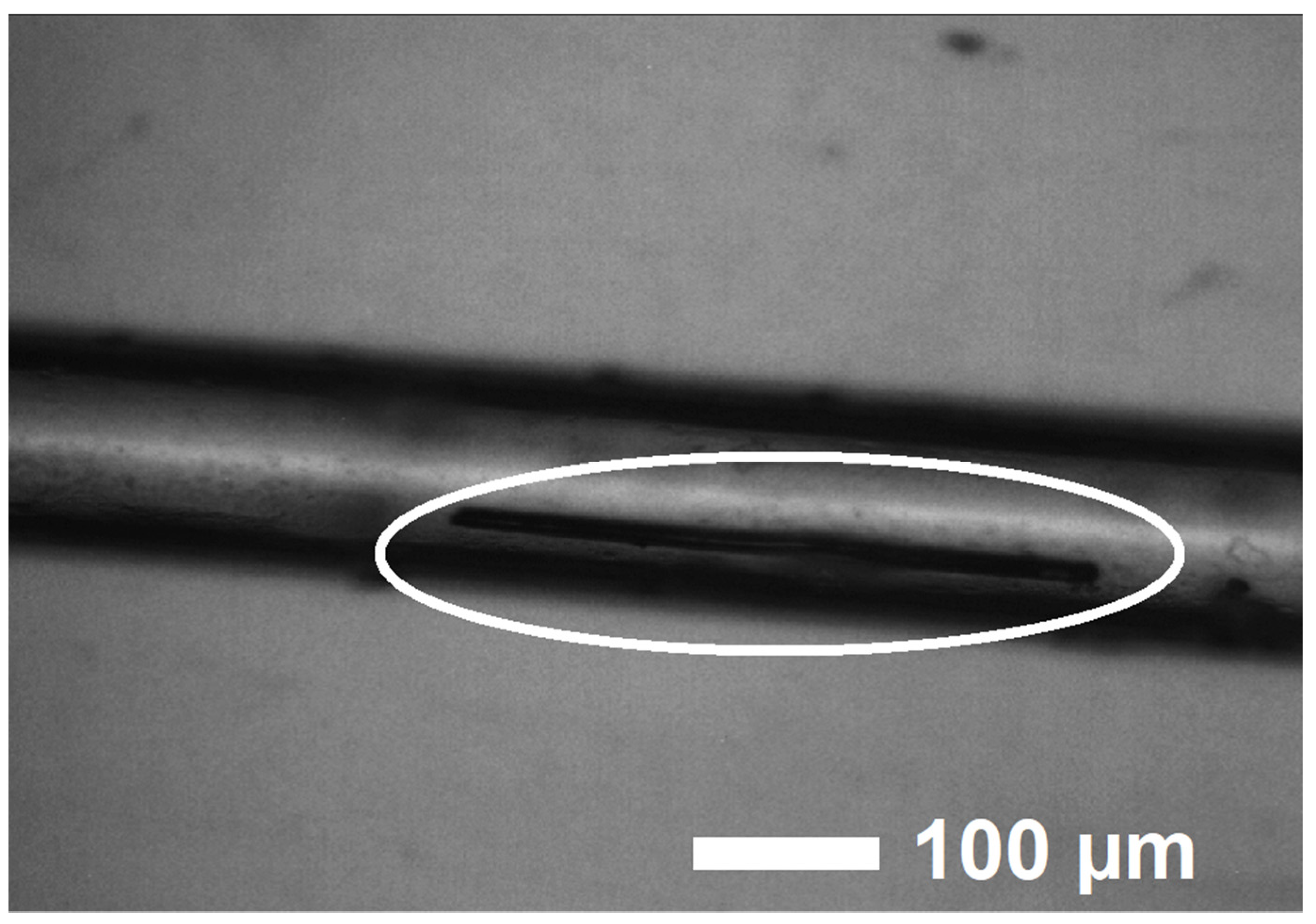 Materials 16 01555 g001