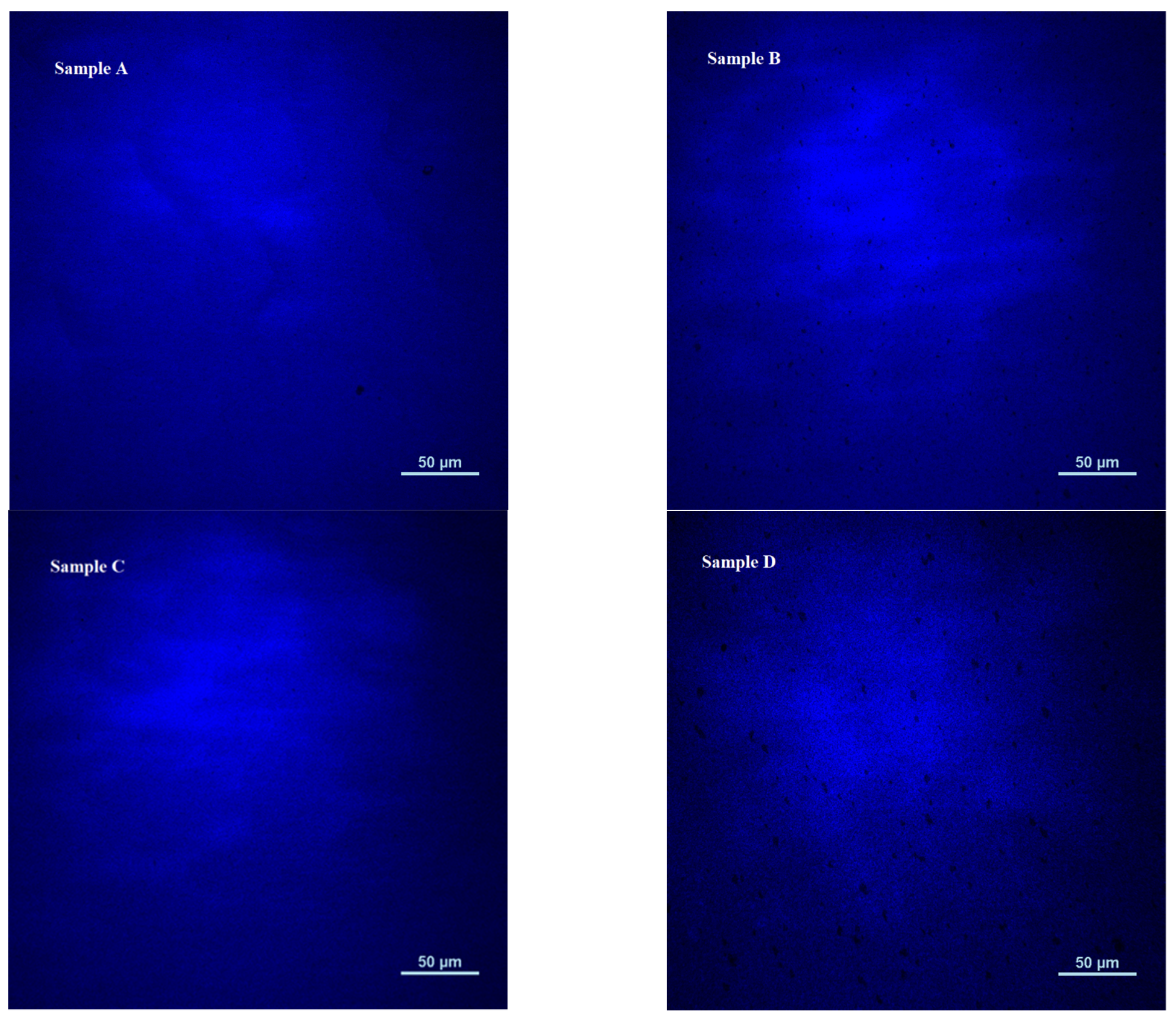 Materials 16 01558 g007