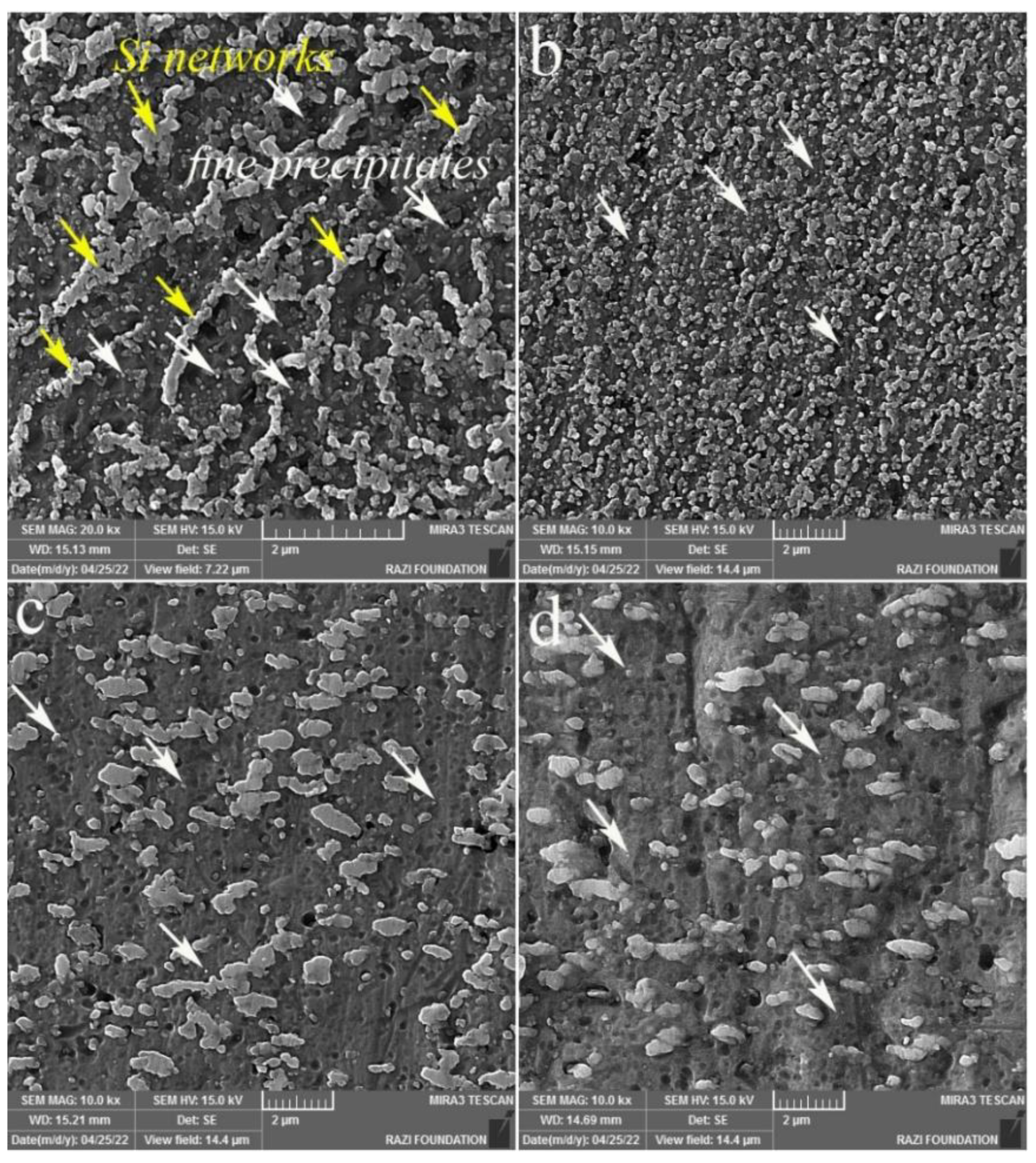 Materials 16 01559 g004 550