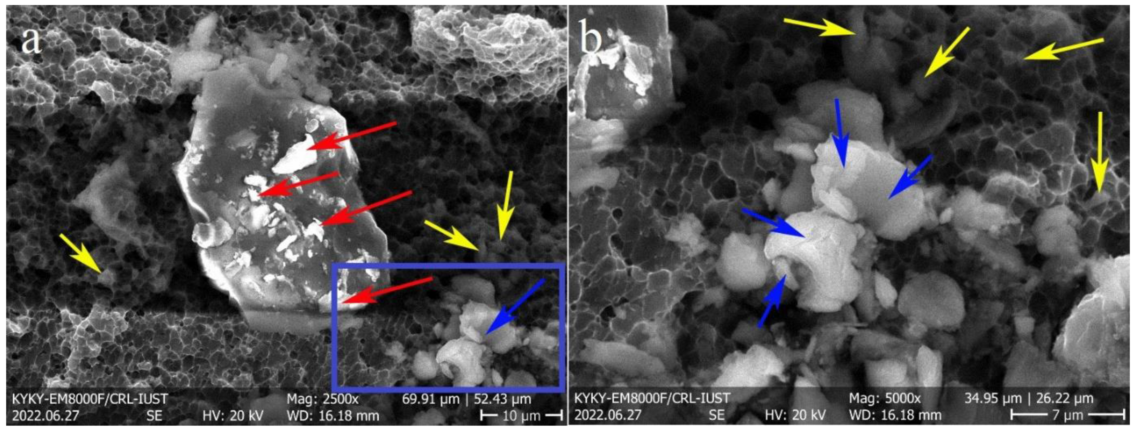 Materials 16 01559 g014 550