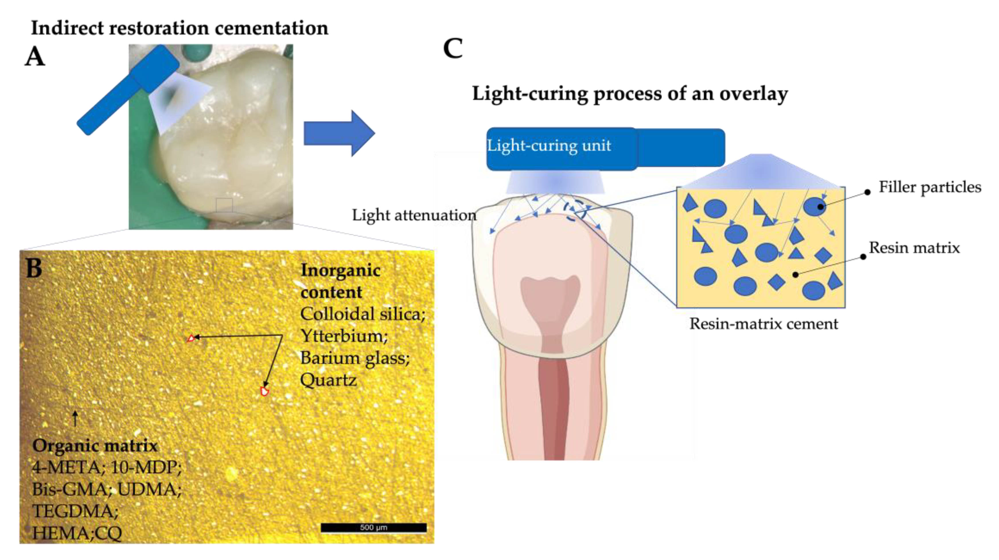 Materials 16 01560 g002 Materials 16 01560 g002