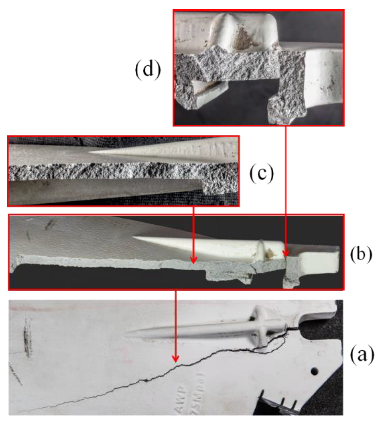 Materials 16 01561 g004