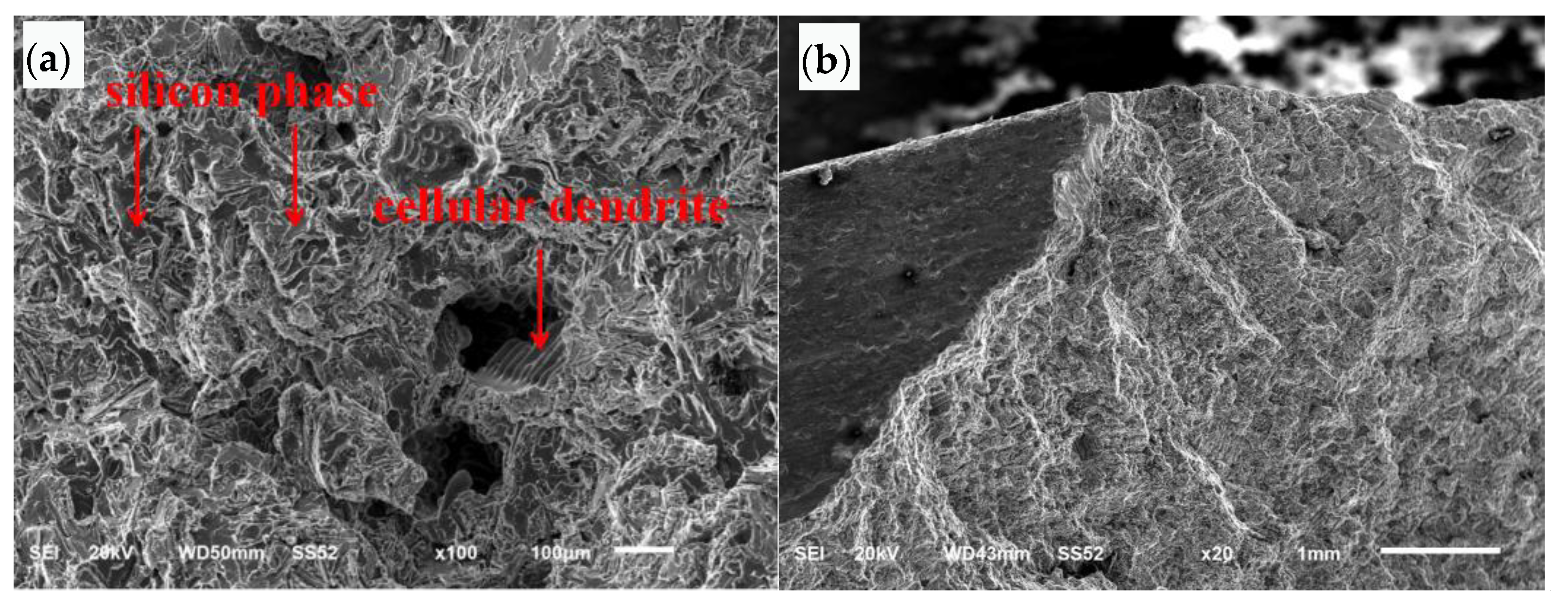 Materials 16 01561 g011
