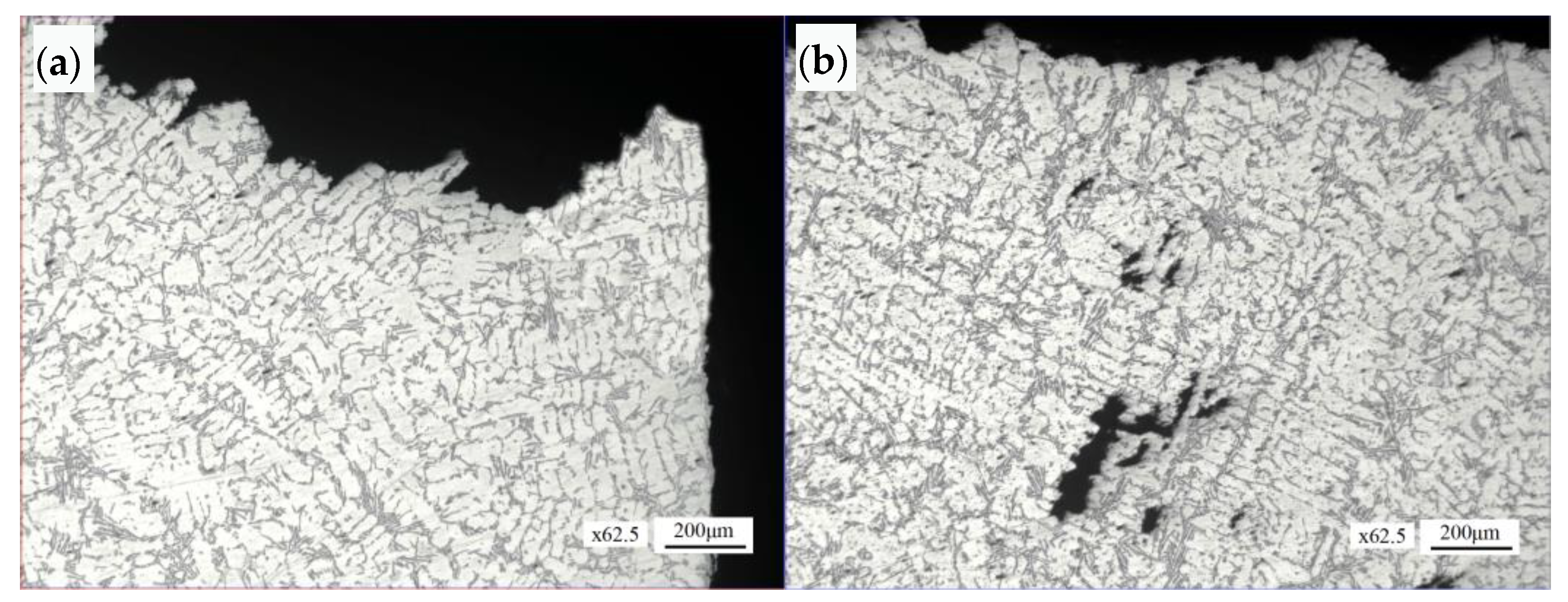 Materials 16 01561 g012