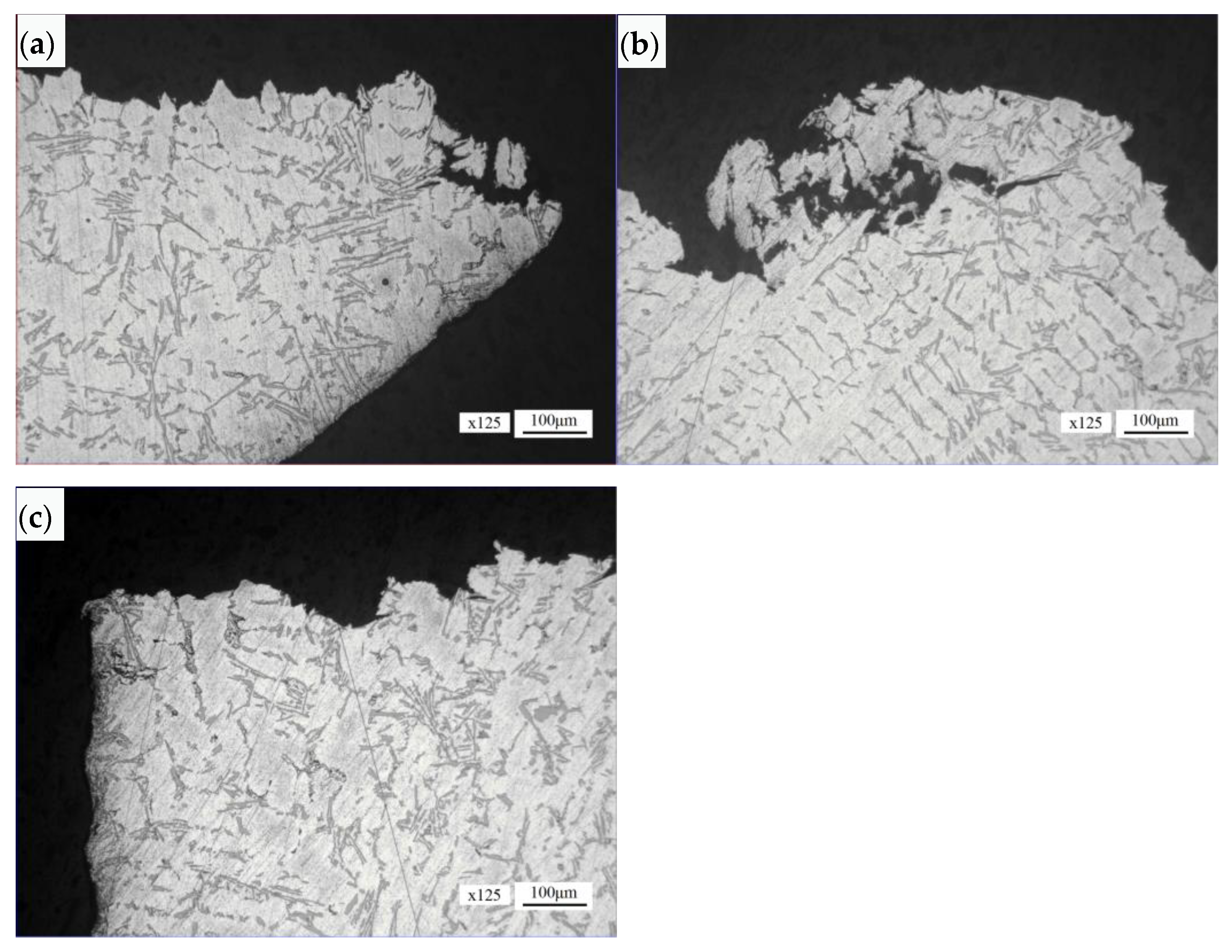 Materials 16 01561 g013