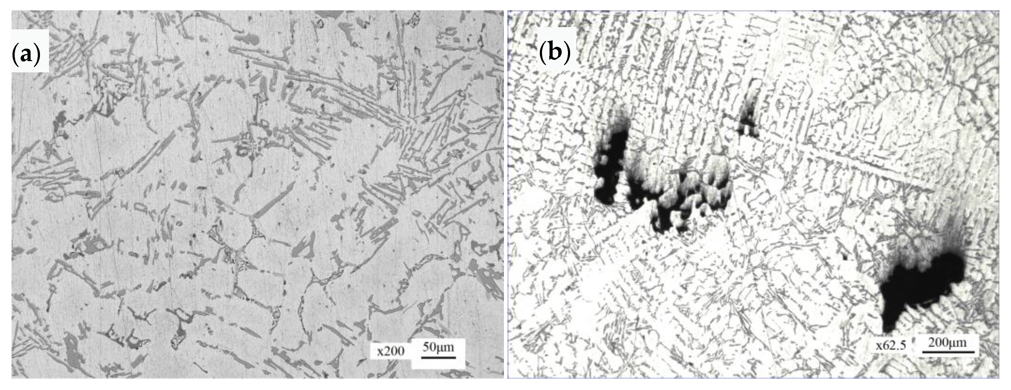 Materials 16 01561 g014
