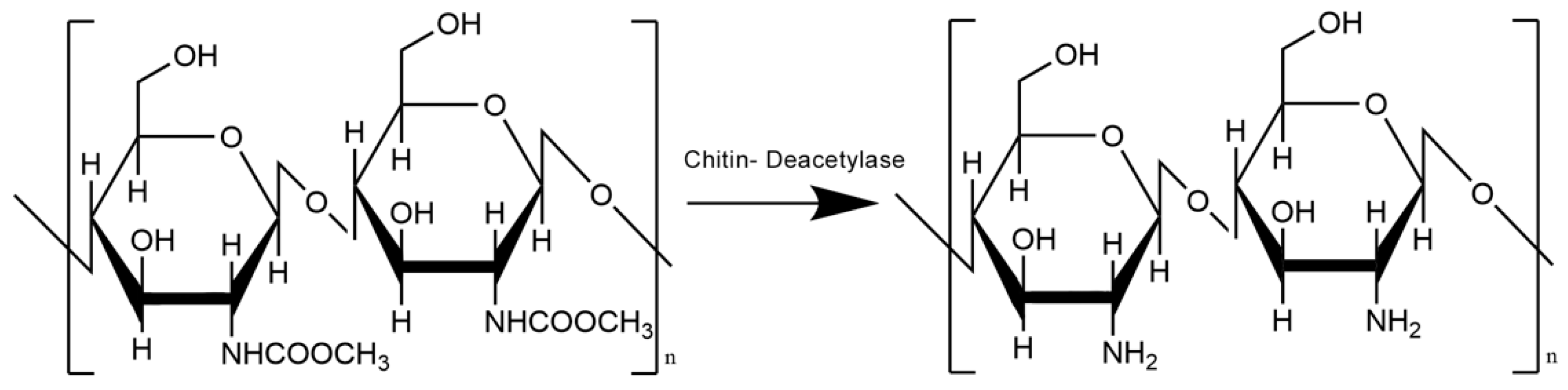 Materials 16 01579 g003 Materials 16 01579 g003