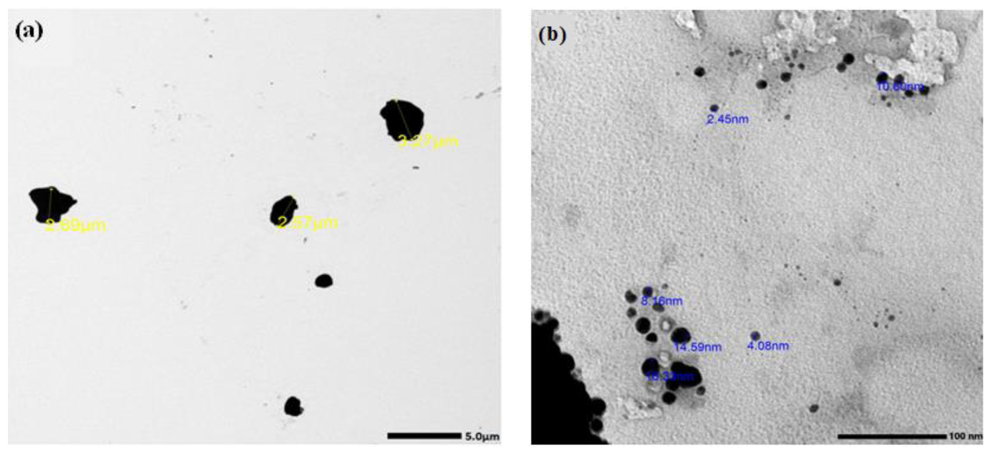 Materials 16 01580 g001 550