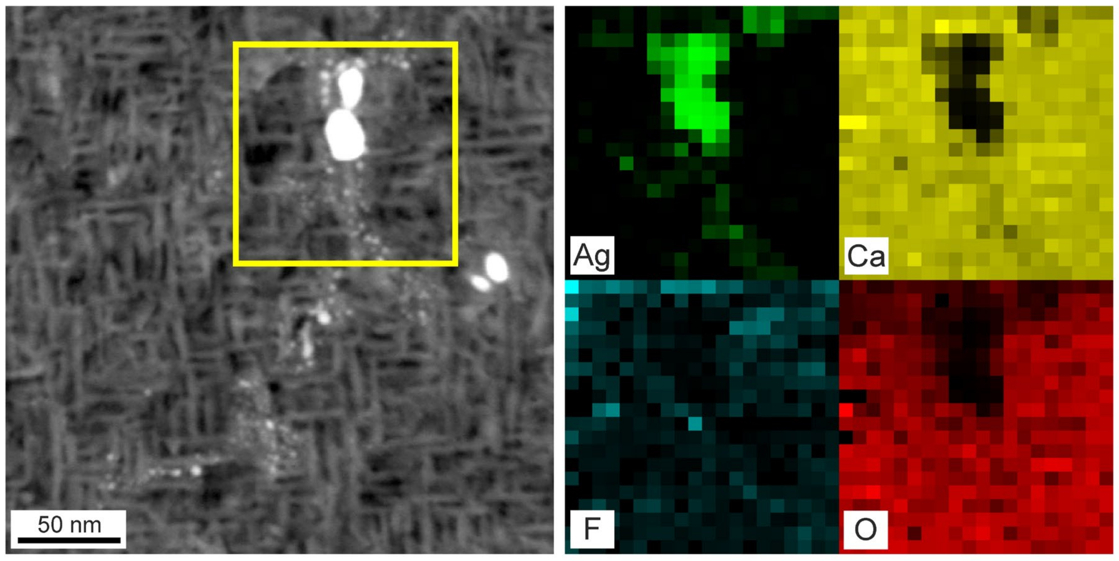 Materials 16 01591 g006 550