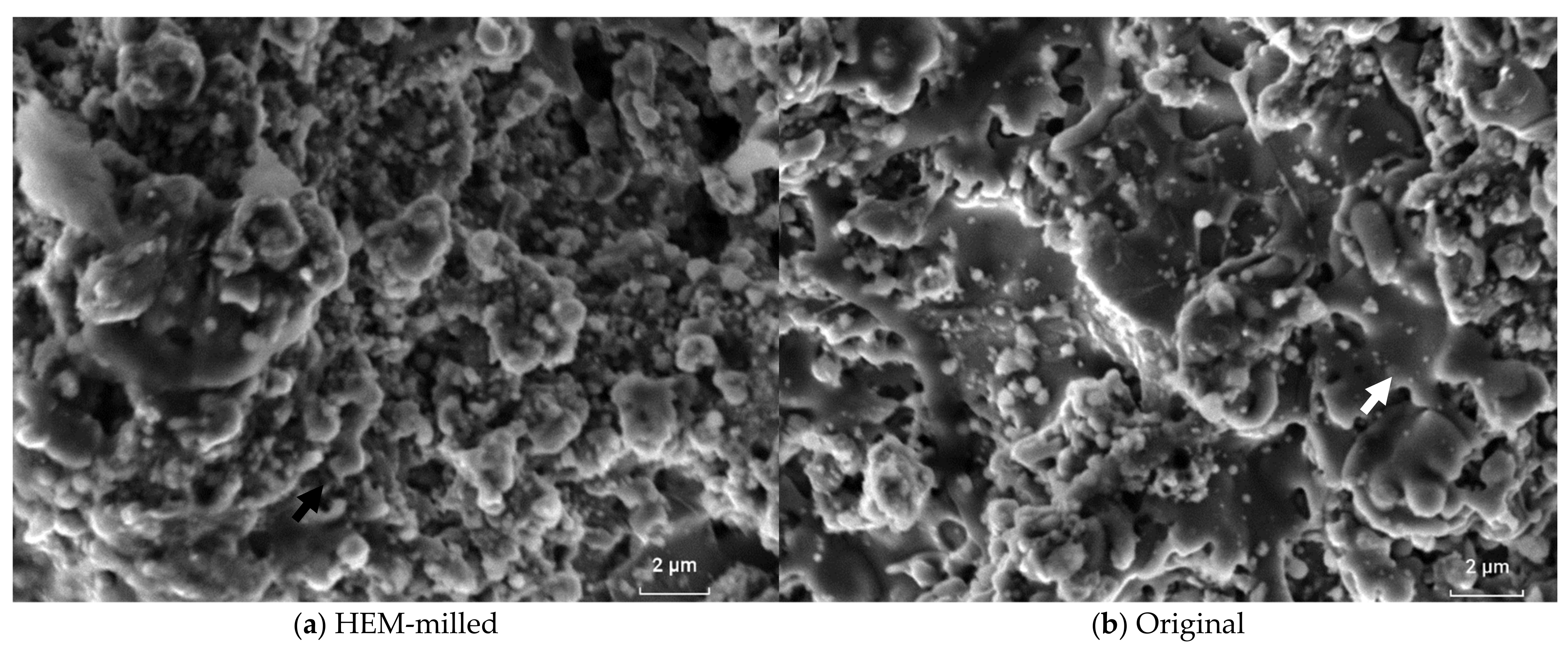 Materials 16 01593 g008a 550