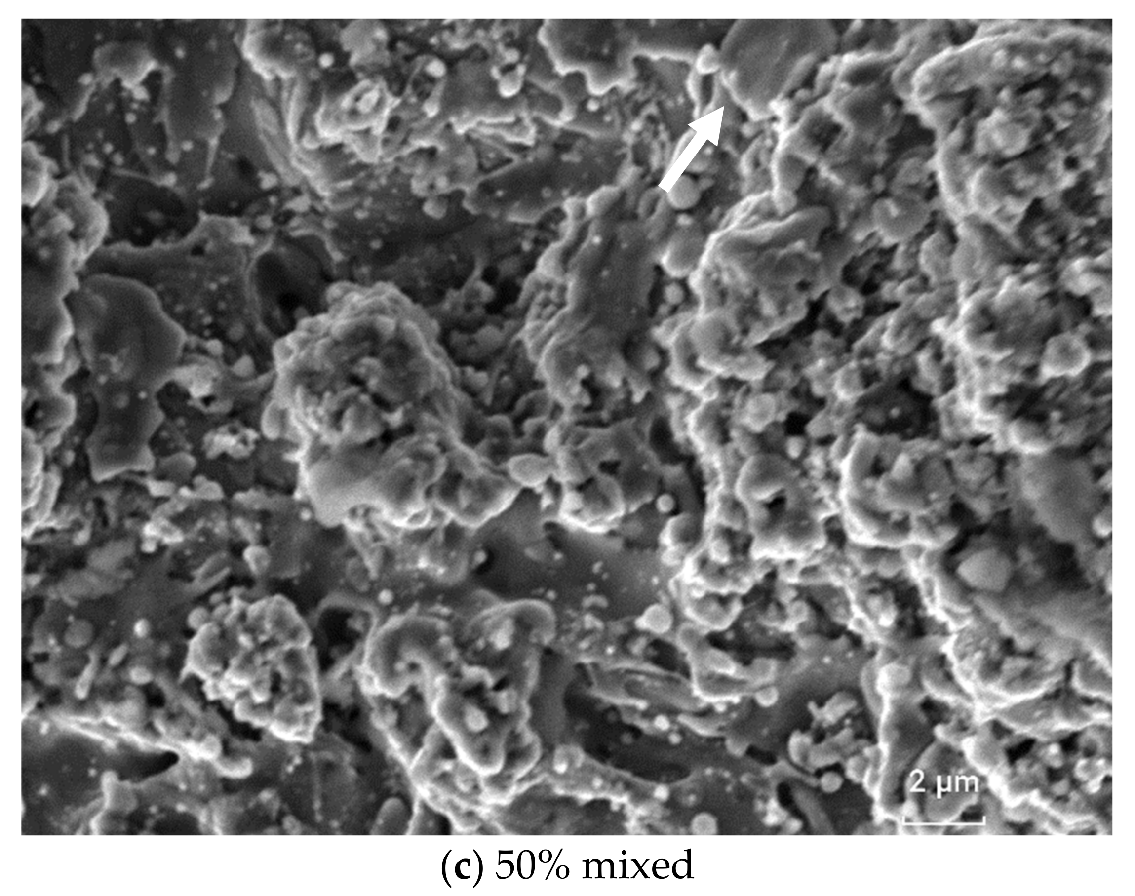 Materials 16 01593 g008b 550