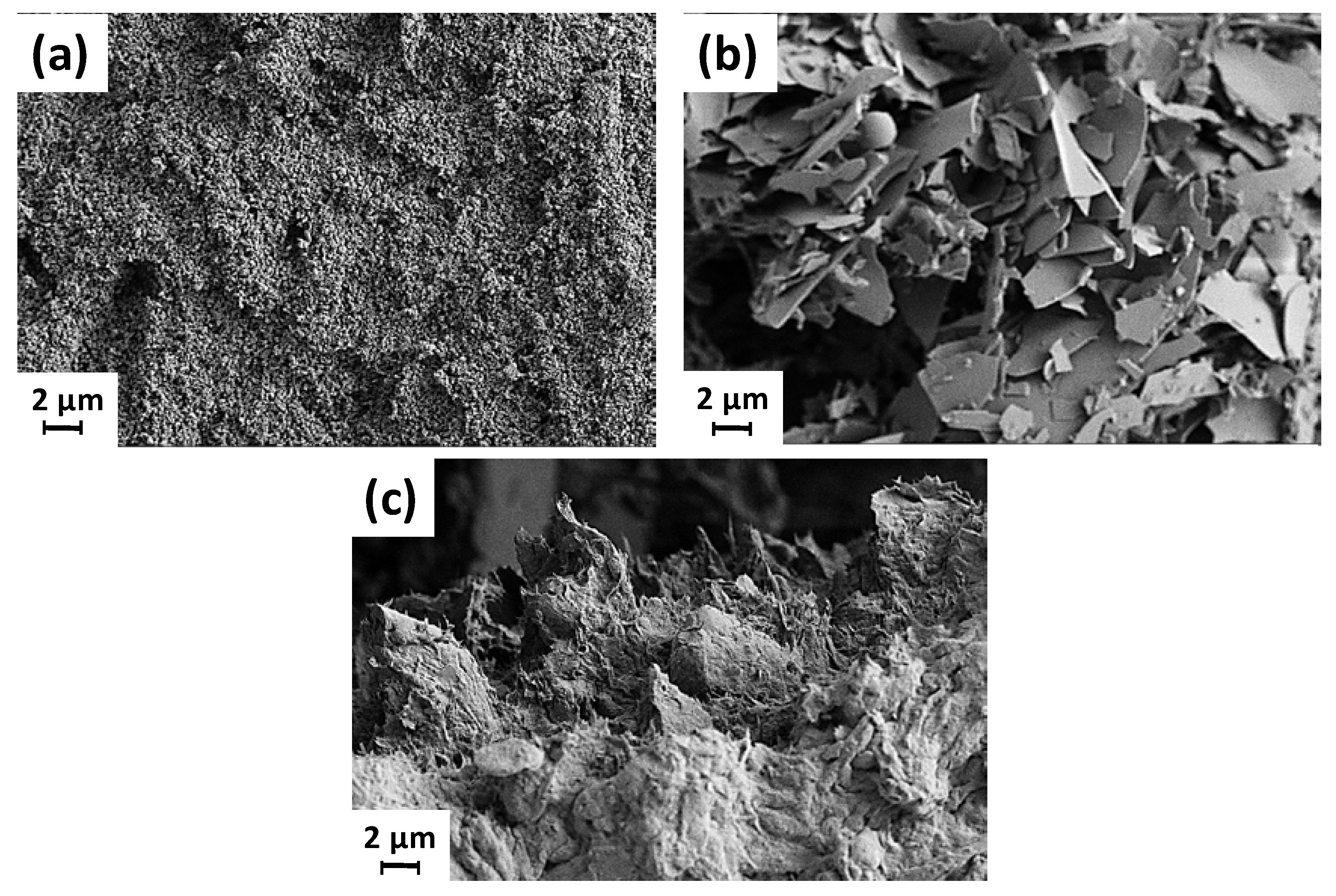 Materials 16 01598 g001 550