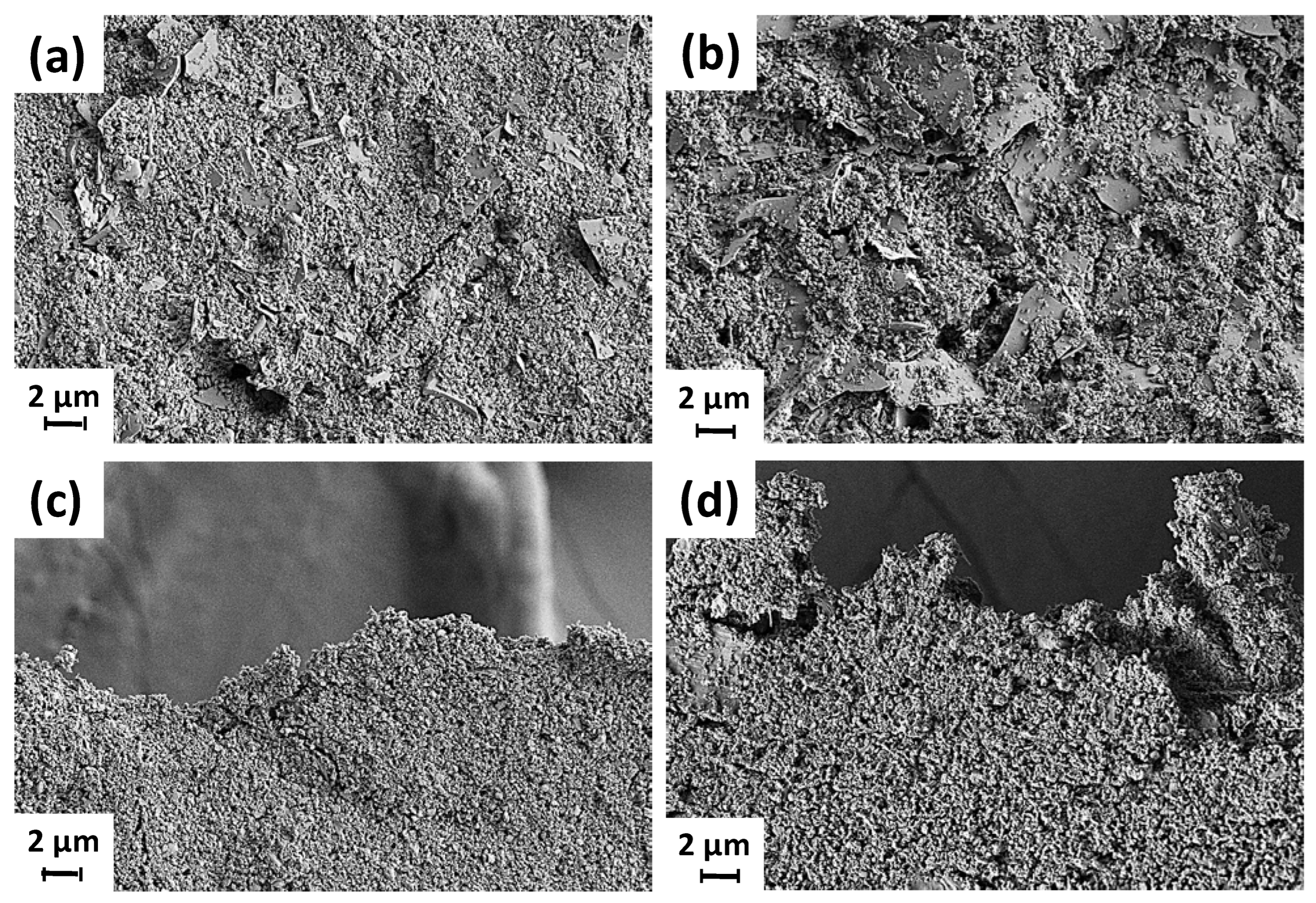 Materials 16 01598 g005 550