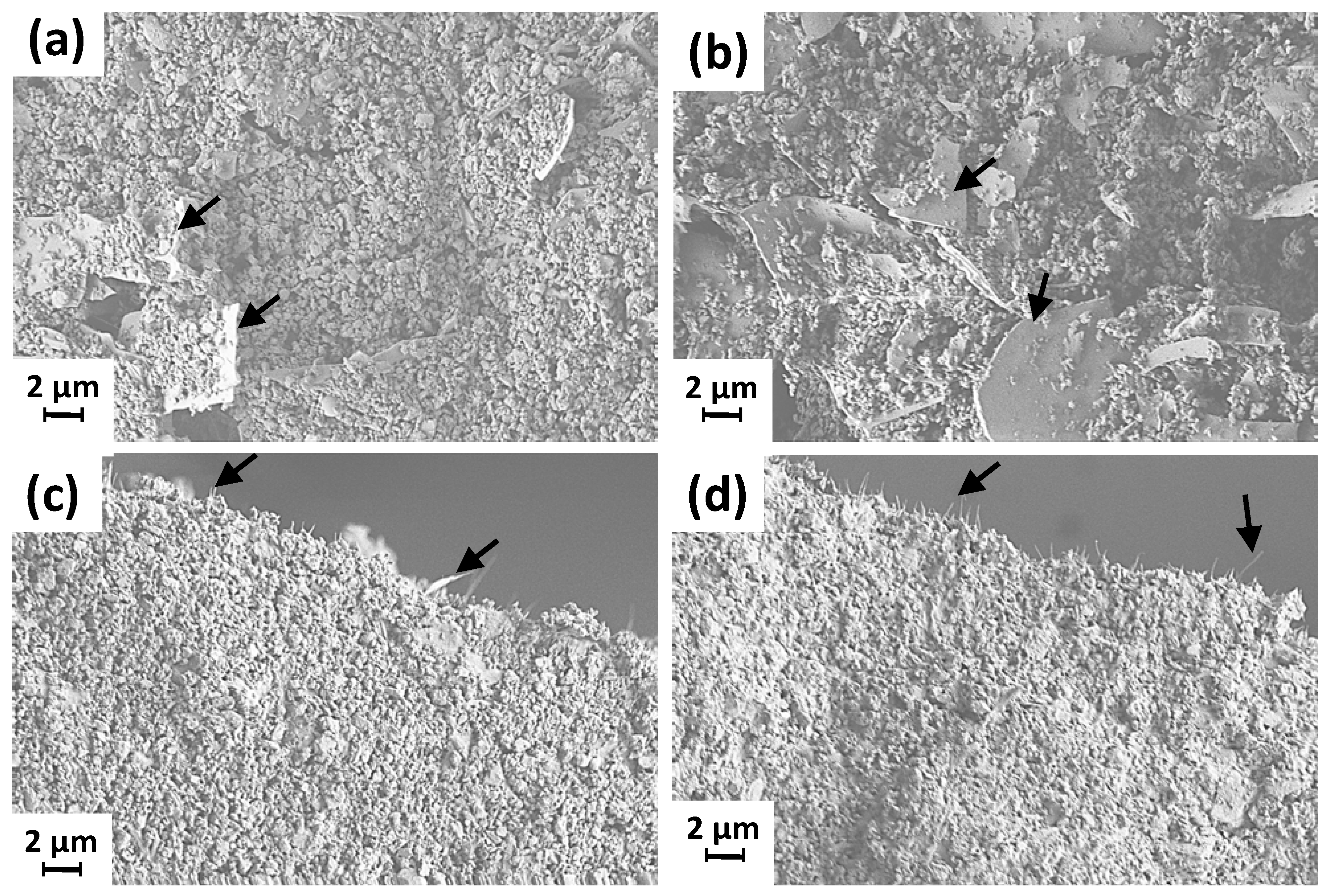 Materials 16 01598 g006 550