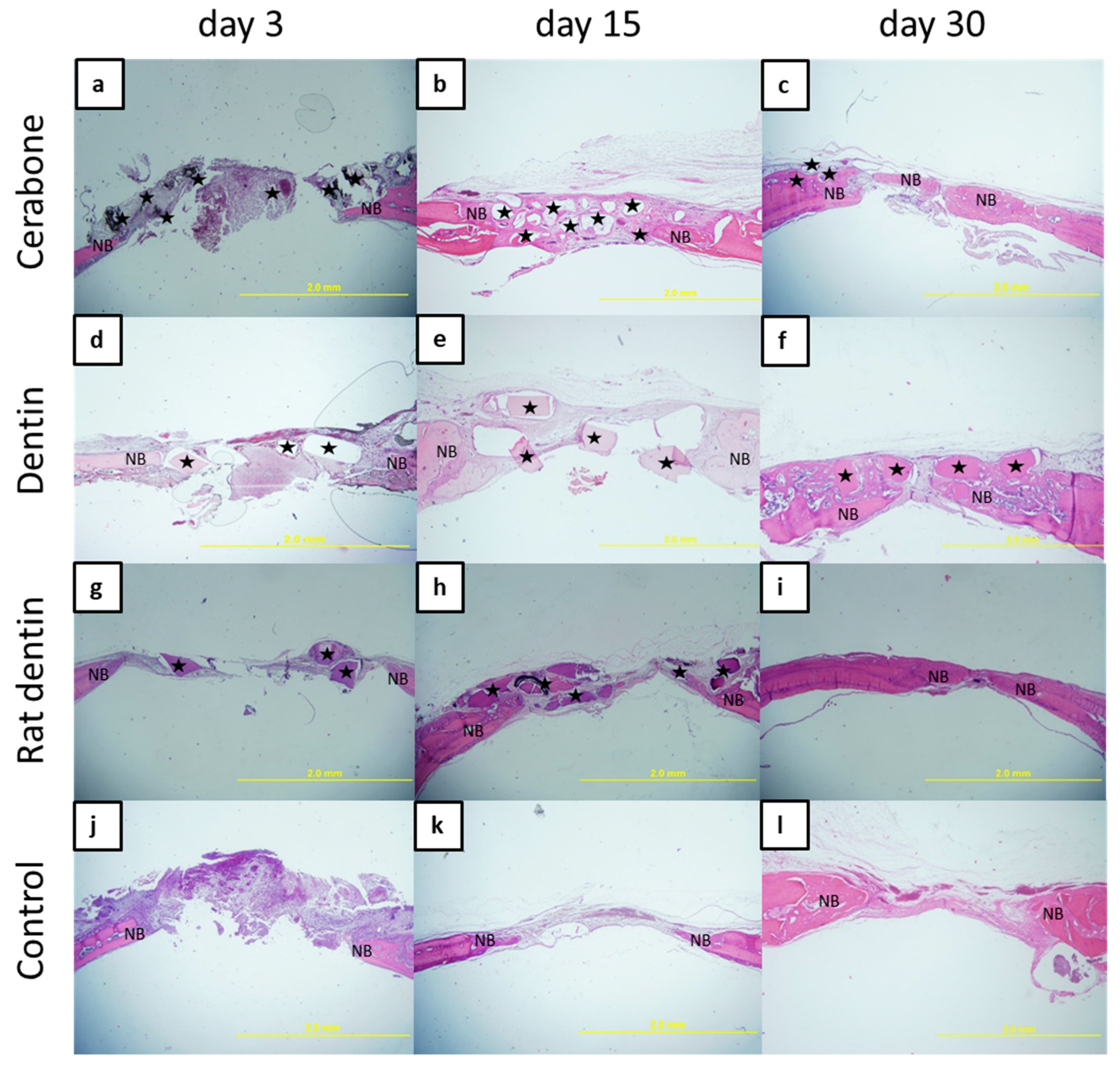 Materials 16 01600 g001 550