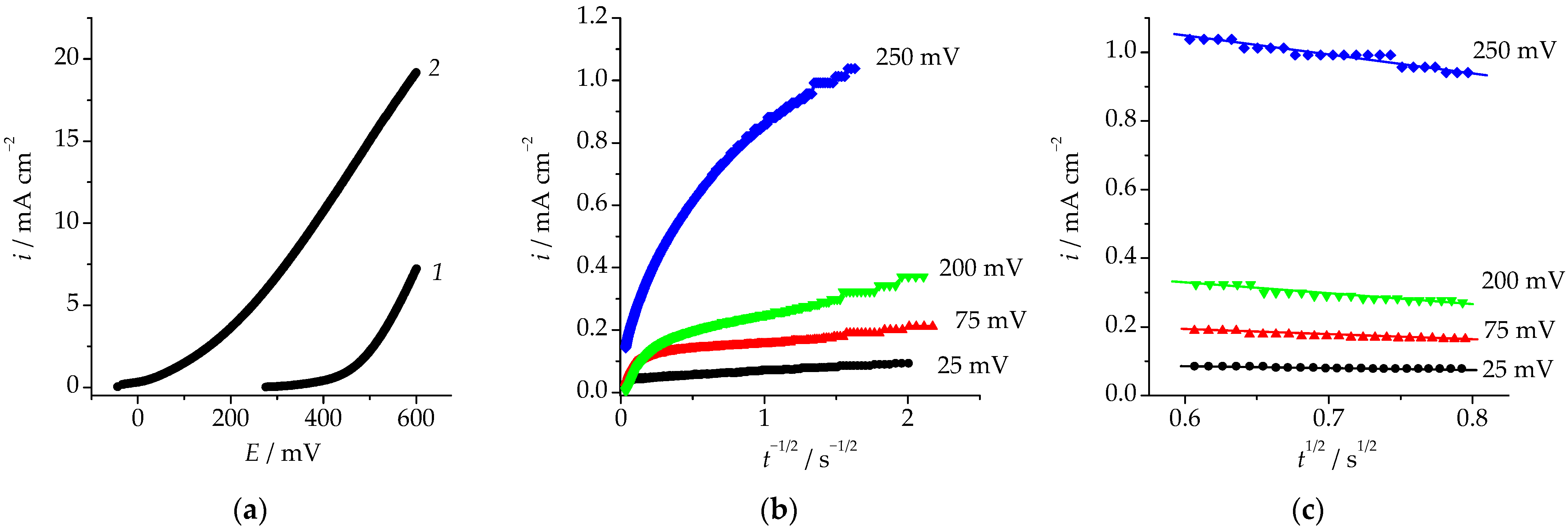 Materials 16 01606 g005