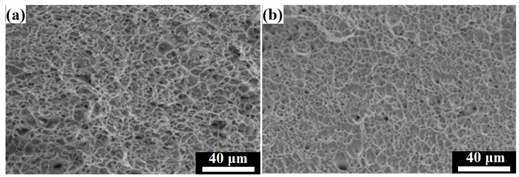 Materials 16 01624 g010 Materials 16 01624 g010