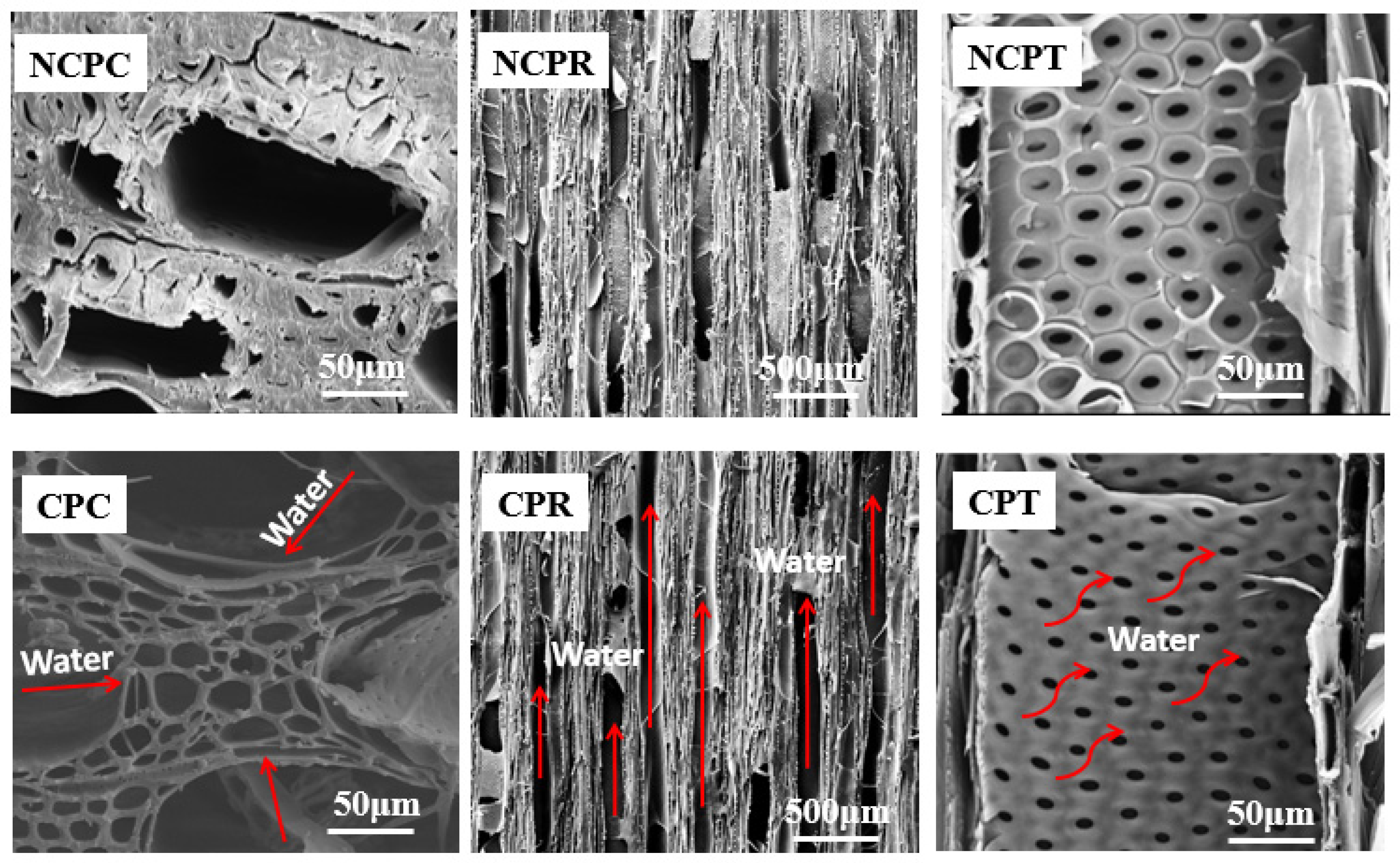 Materials 16 01628 g006 Materials 16 01628 g006