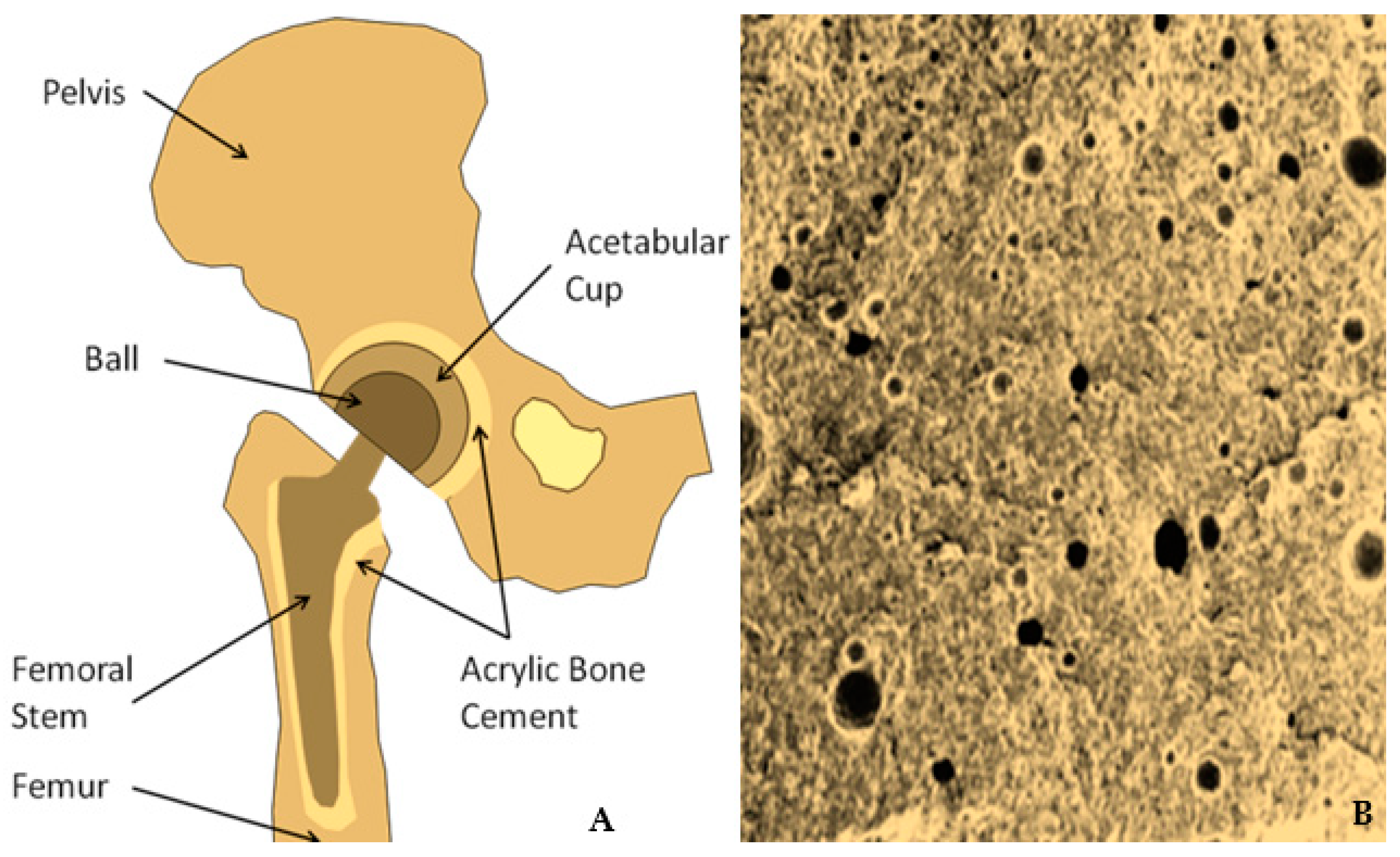 Materials Free FullText Unexpected Repercussions of the COVID19
