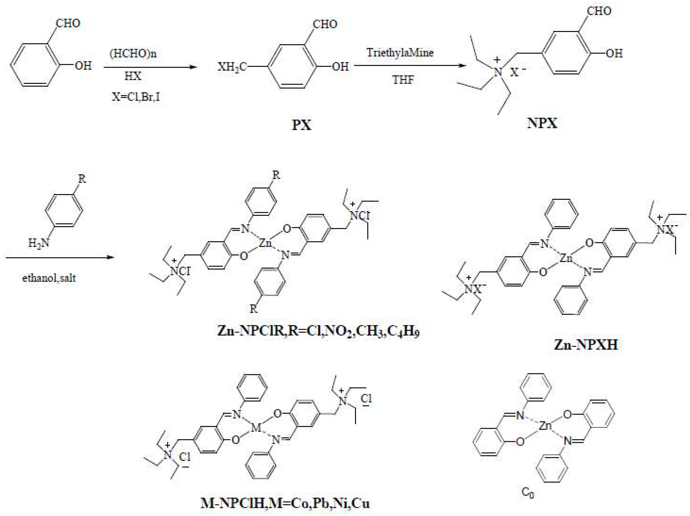 Materials 16 01646 sch002 Materials 16 01646 sch002
