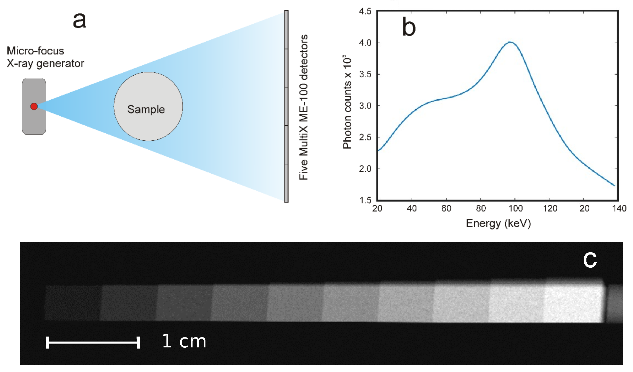 Materials 16 01654 g001