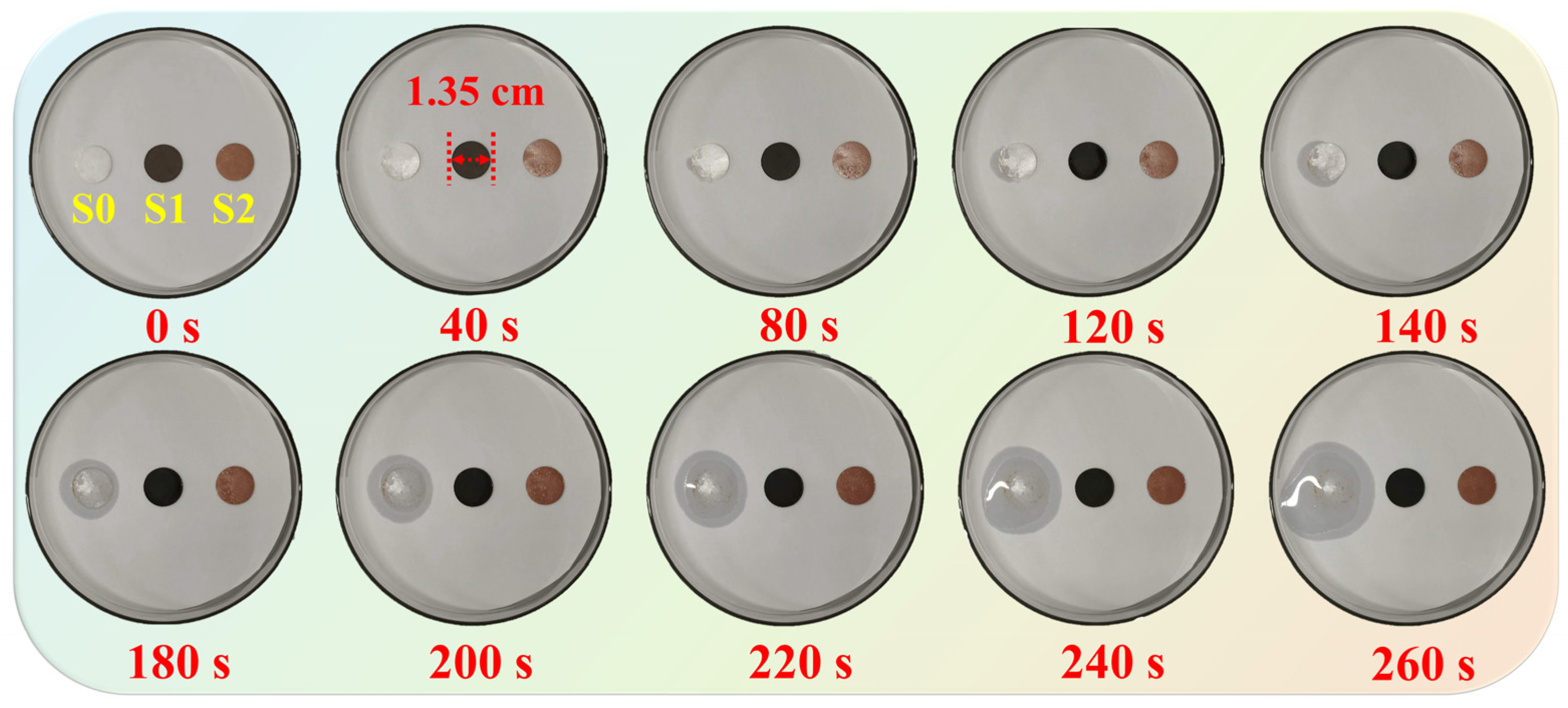 Materials 16 01656 g010 Materials 16 01656 g010