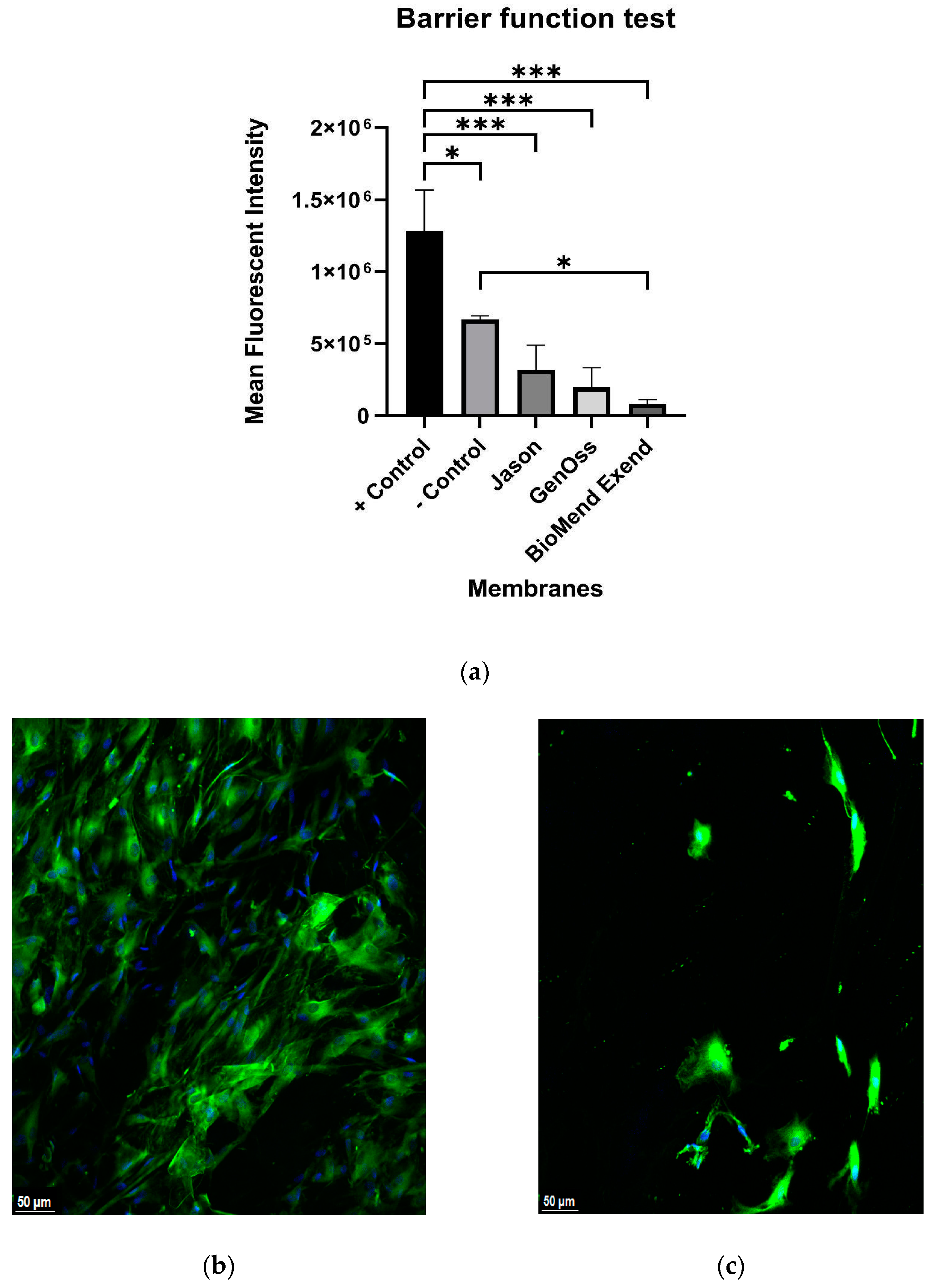 Materials 16 01657 g001a Materials 16 01657 g001a
