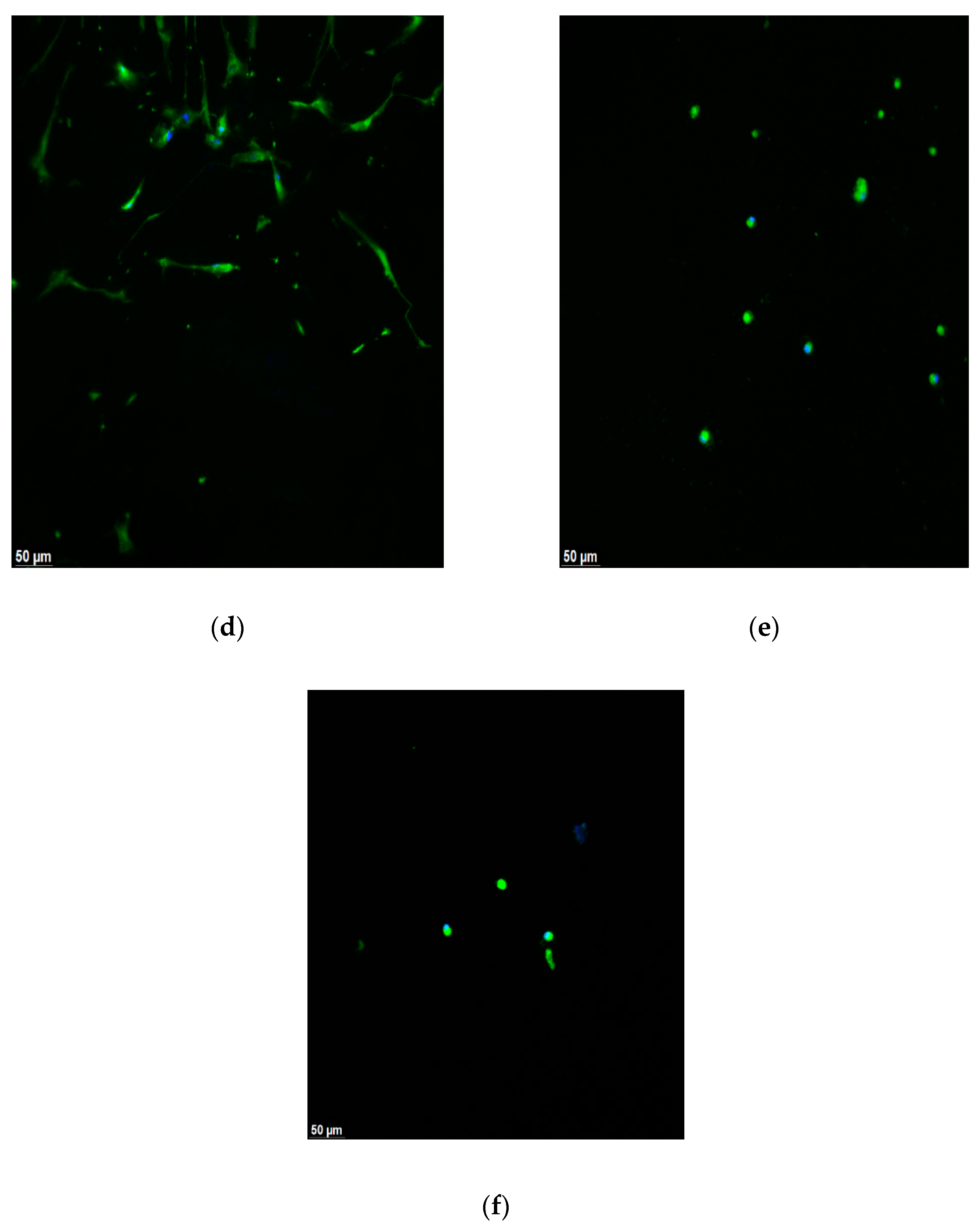 Materials 16 01657 g001b Materials 16 01657 g001b