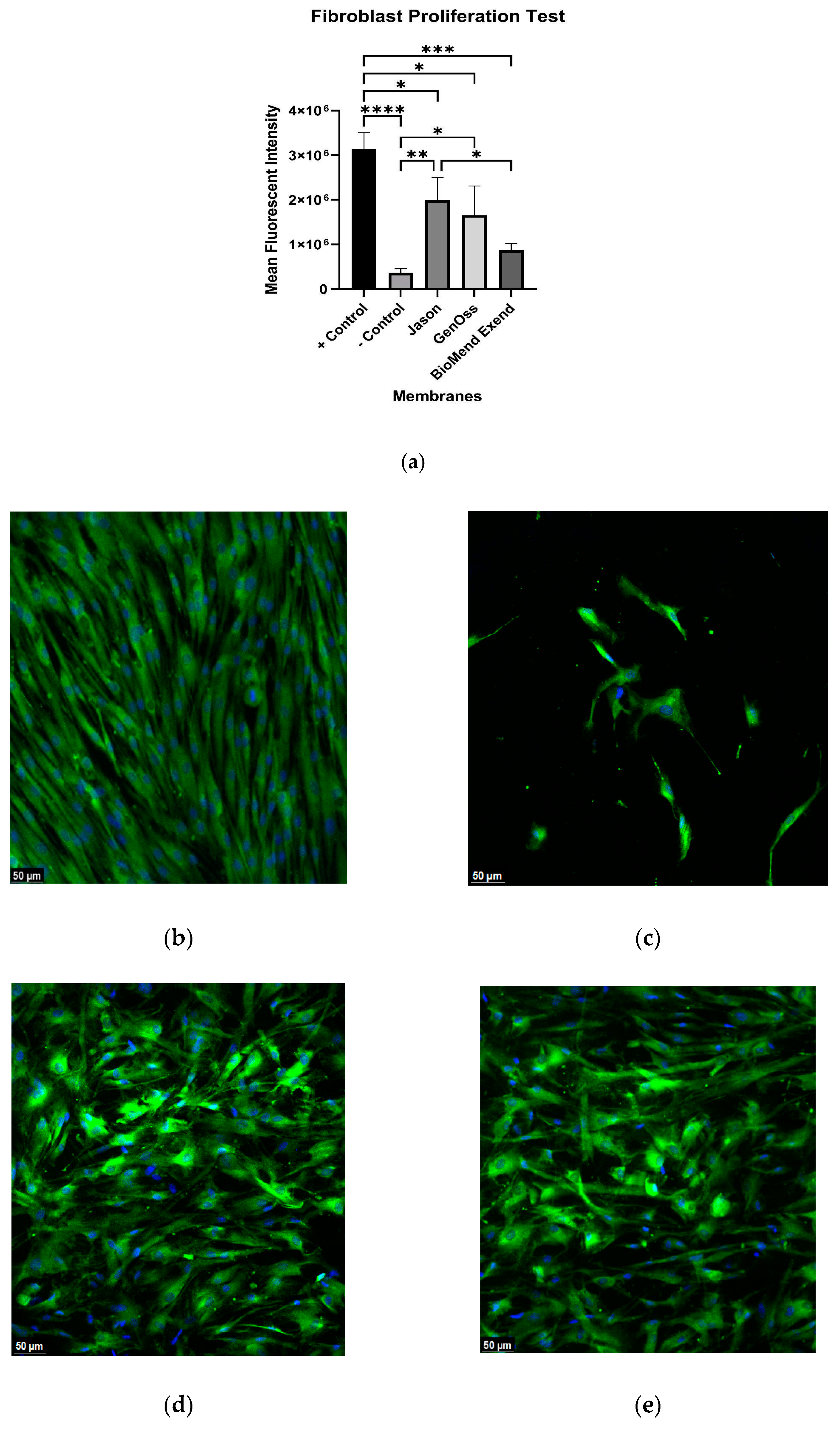 Materials 16 01657 g002a Materials 16 01657 g002a