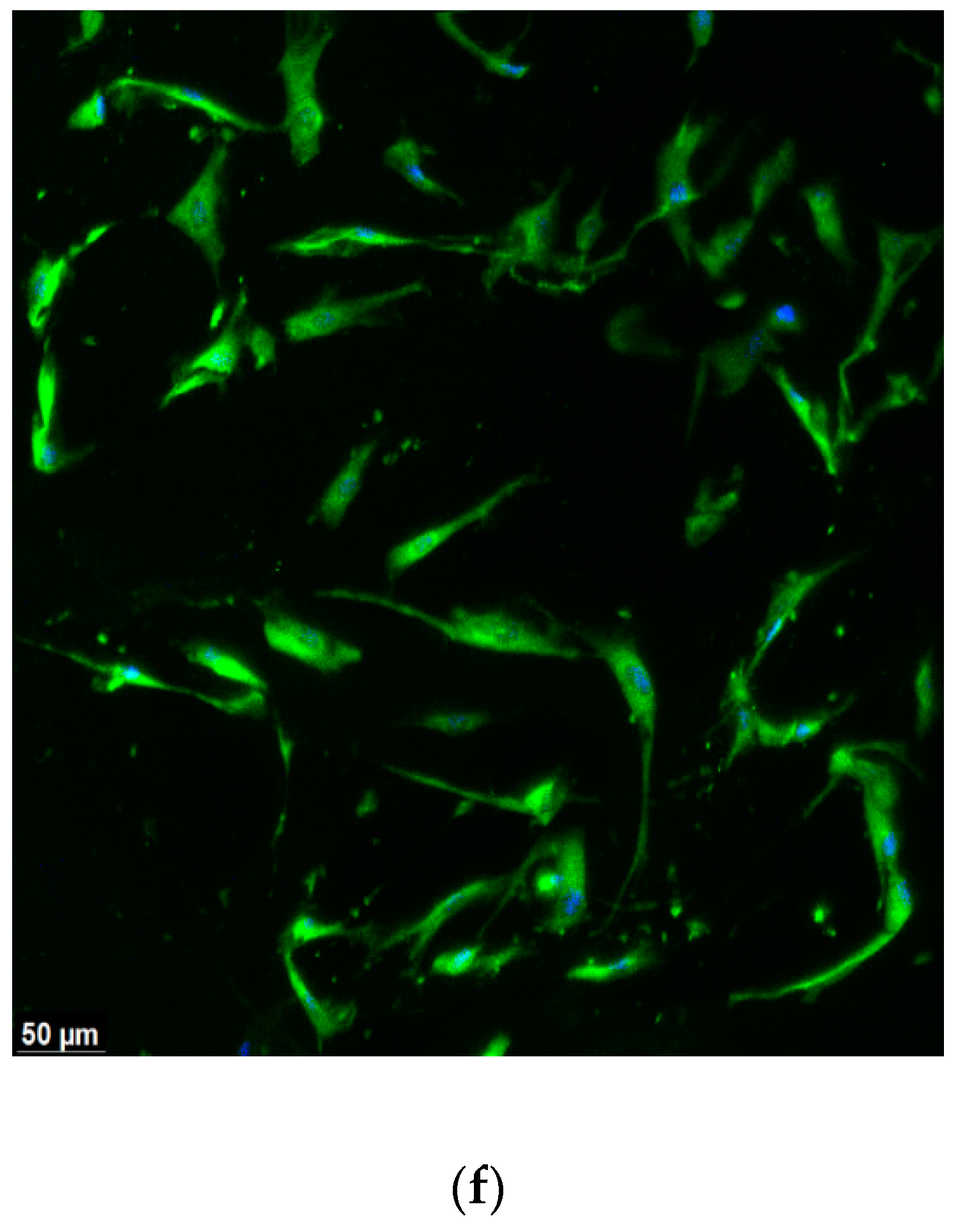 Materials 16 01657 g002b Materials 16 01657 g002b