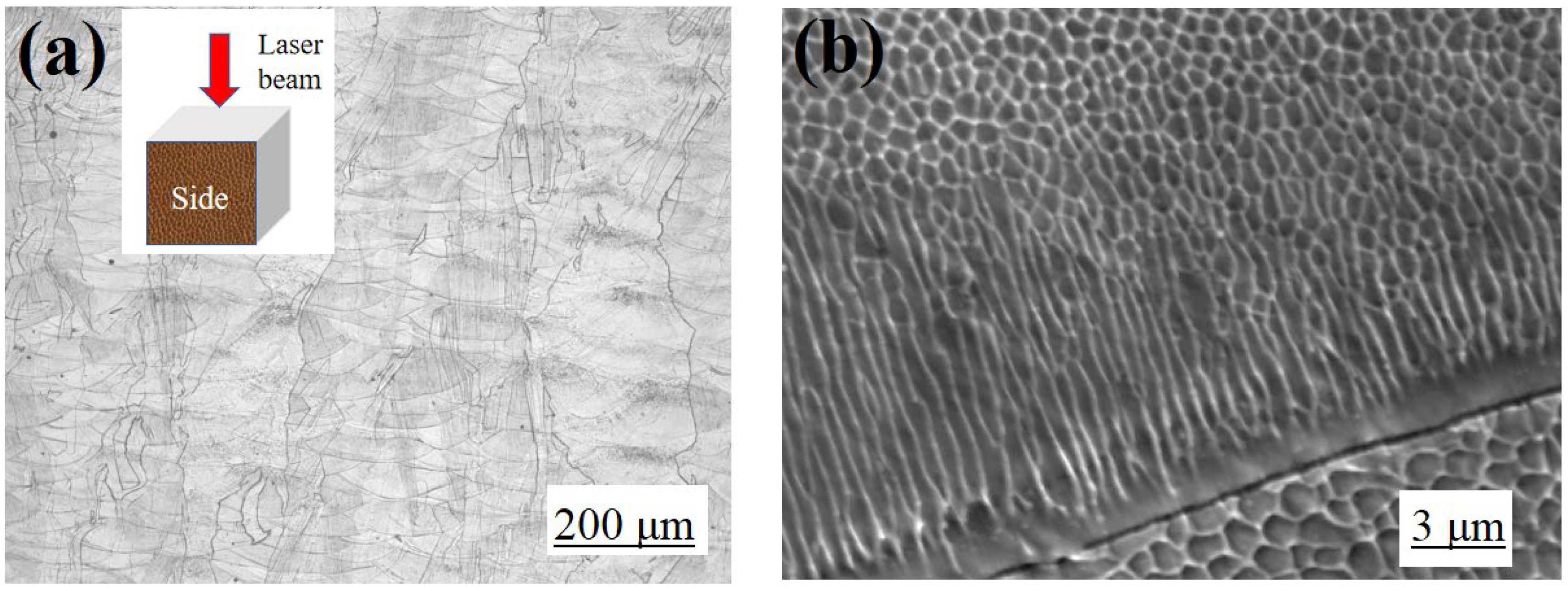 Materials 16 01661 g006 Materials 16 01661 g006