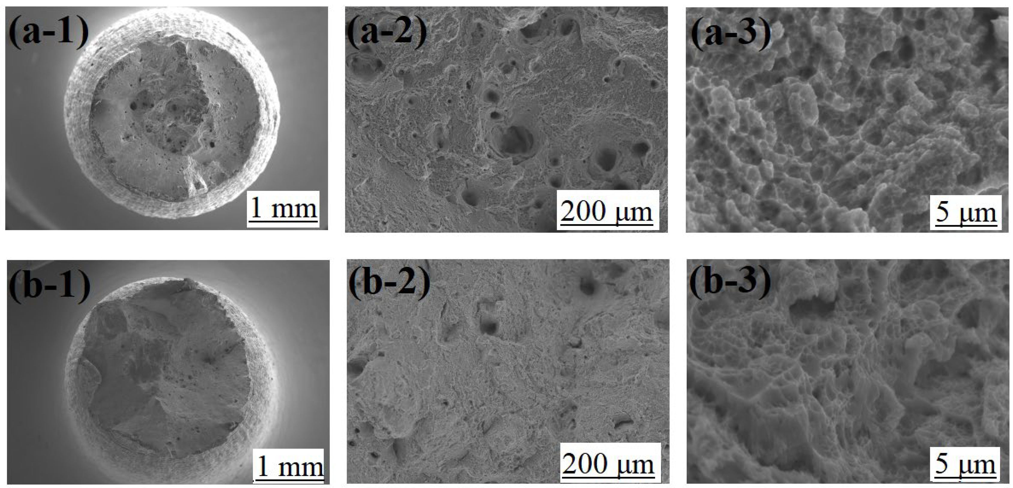 Materials 16 01661 g010 Materials 16 01661 g010