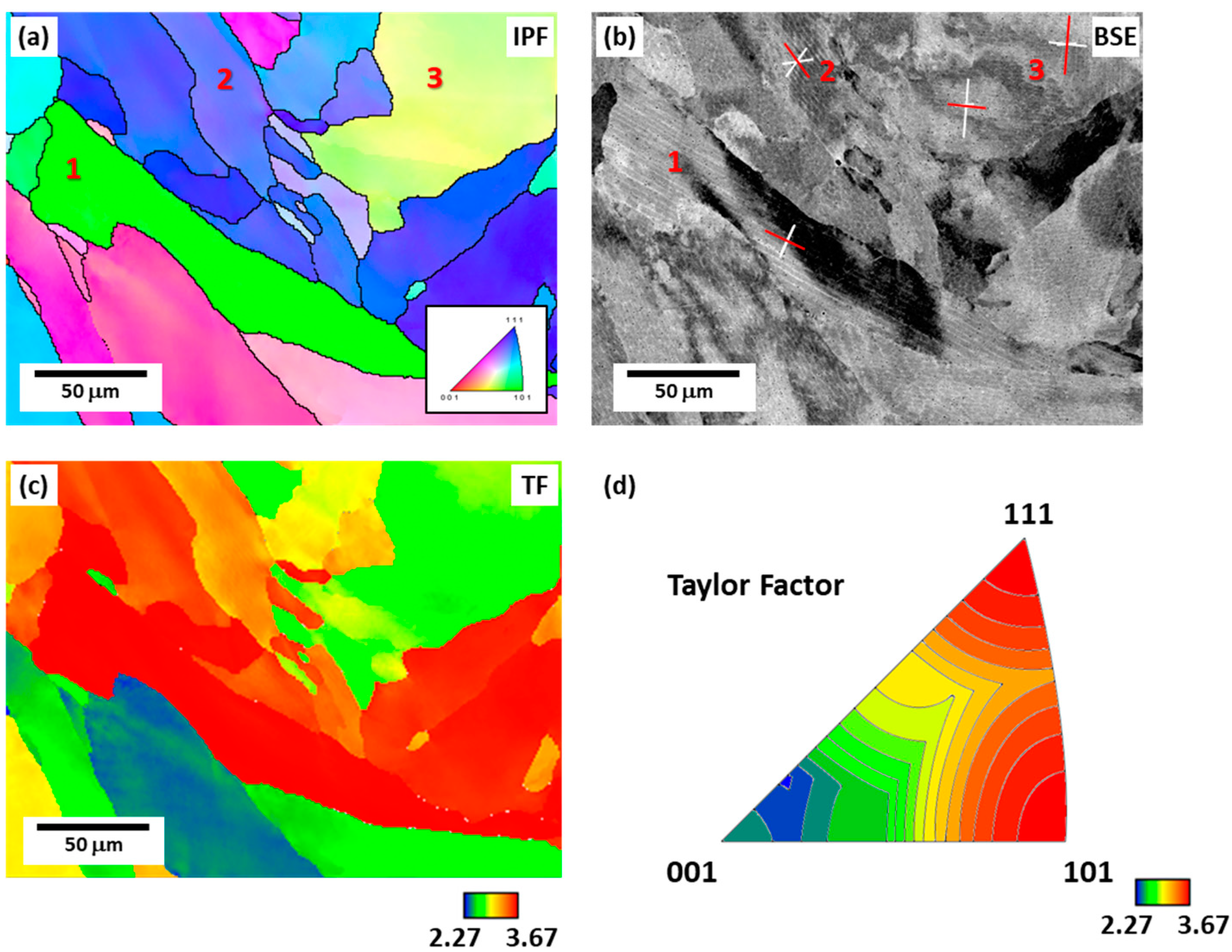 Materials 16 01666 g004