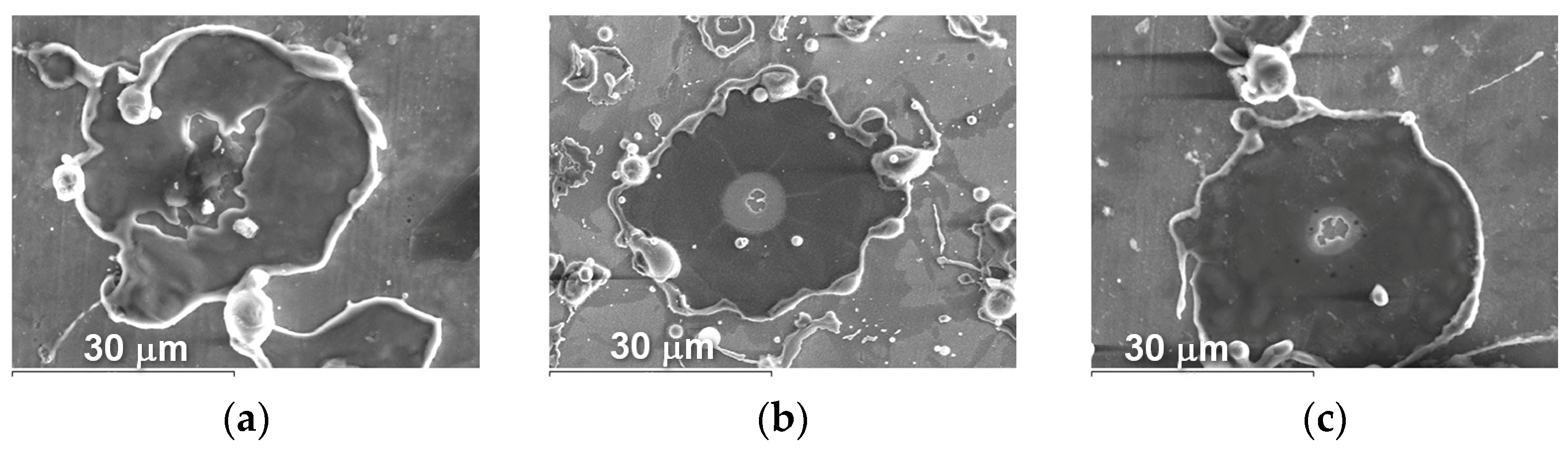 Materials 16 01669 g017