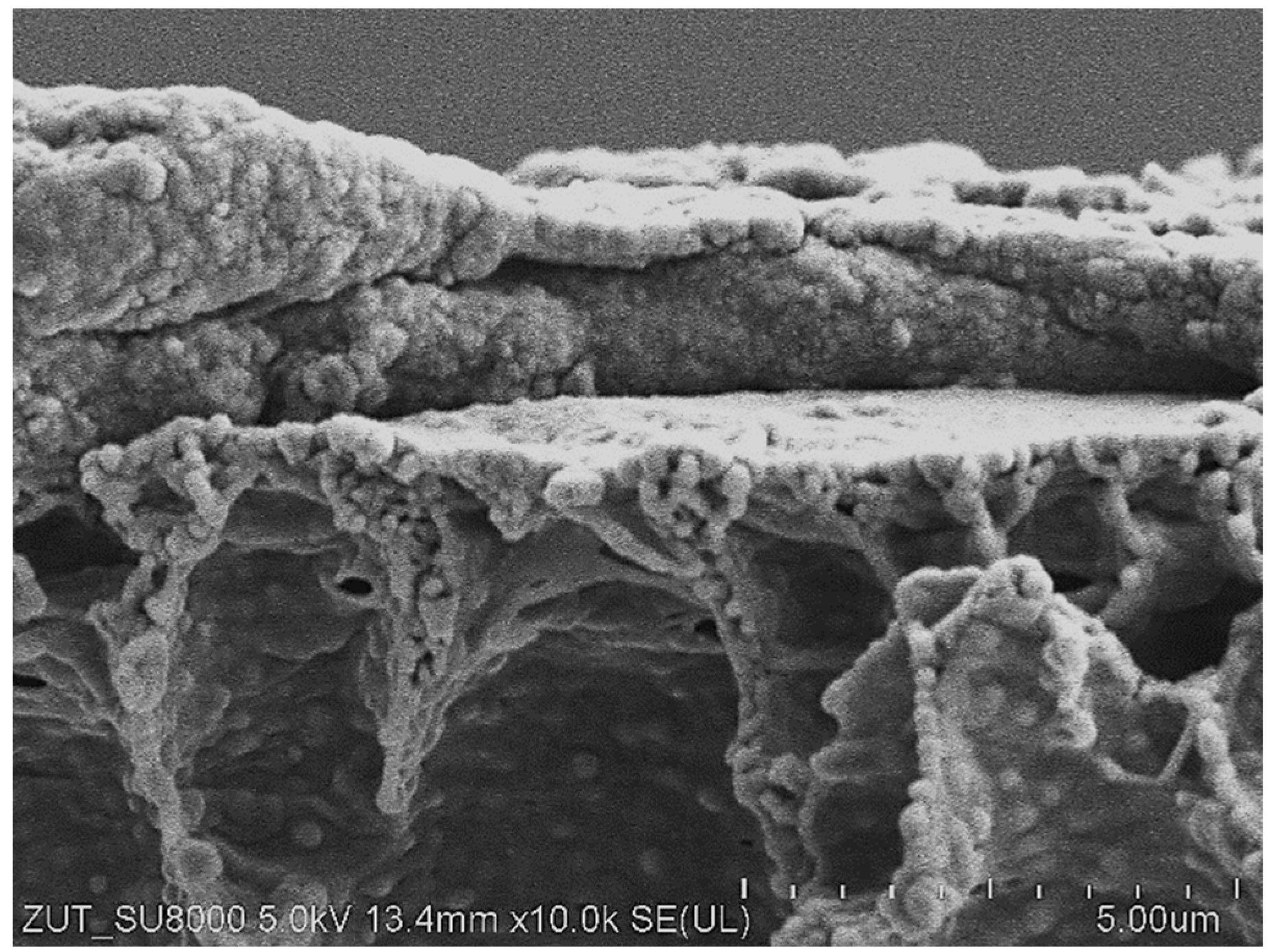 Materials 16 01673 g006 Materials 16 01673 g006