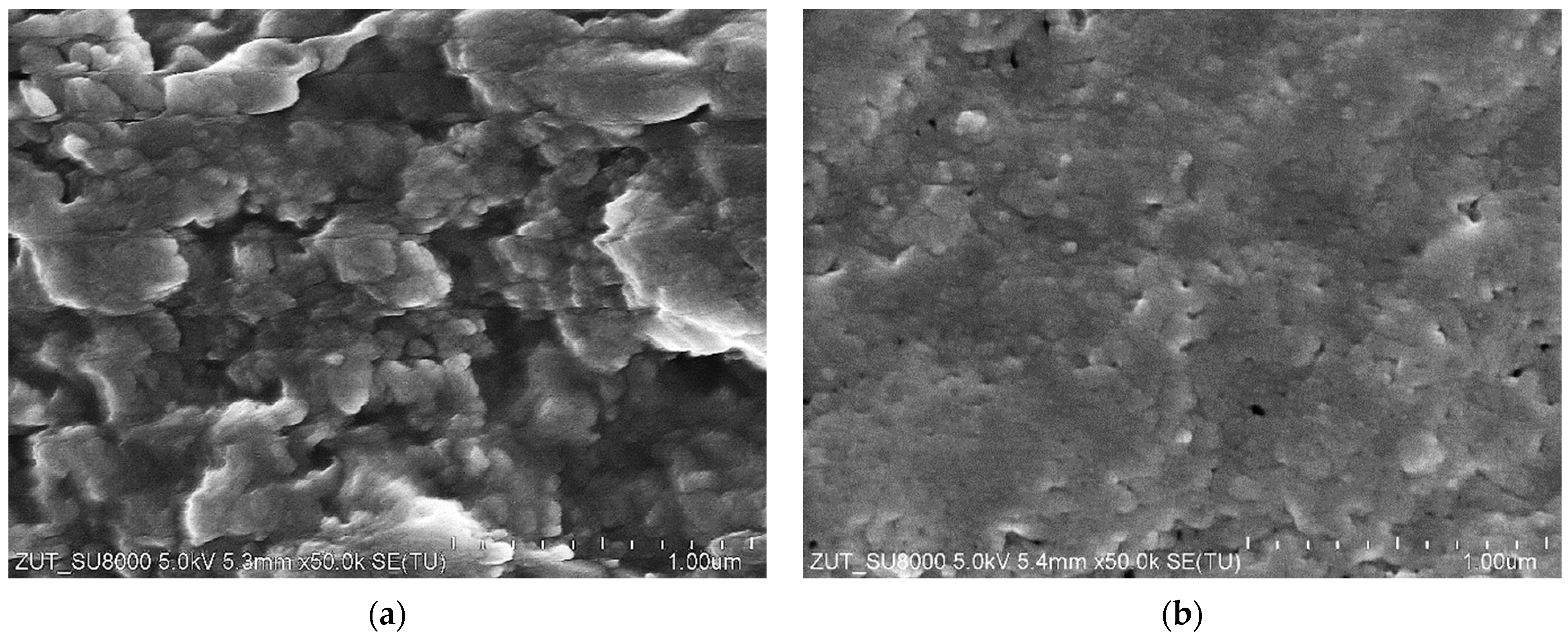 Materials 16 01673 g007 Materials 16 01673 g007